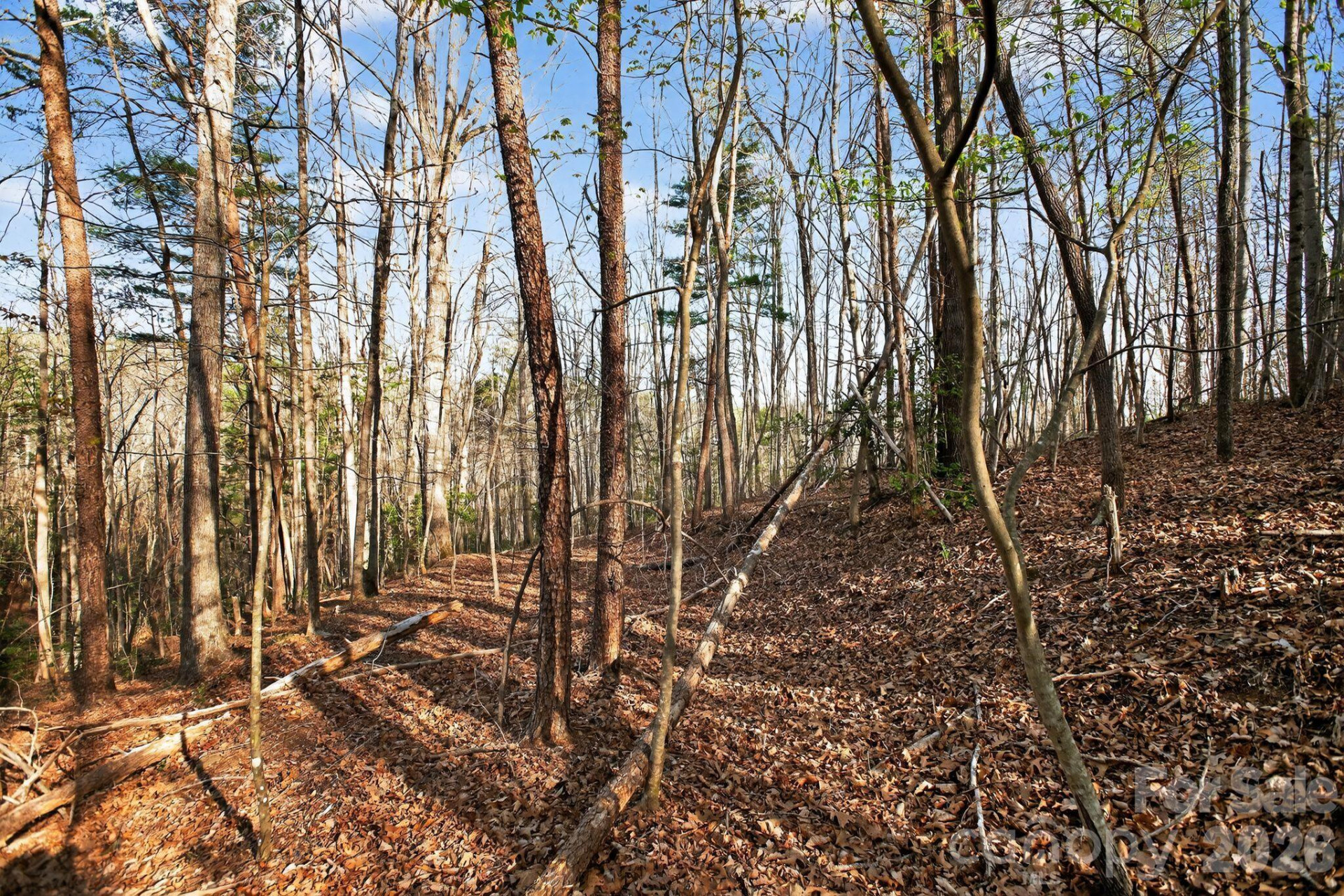 Lot 62 Dirksen Avenue - Photo 35