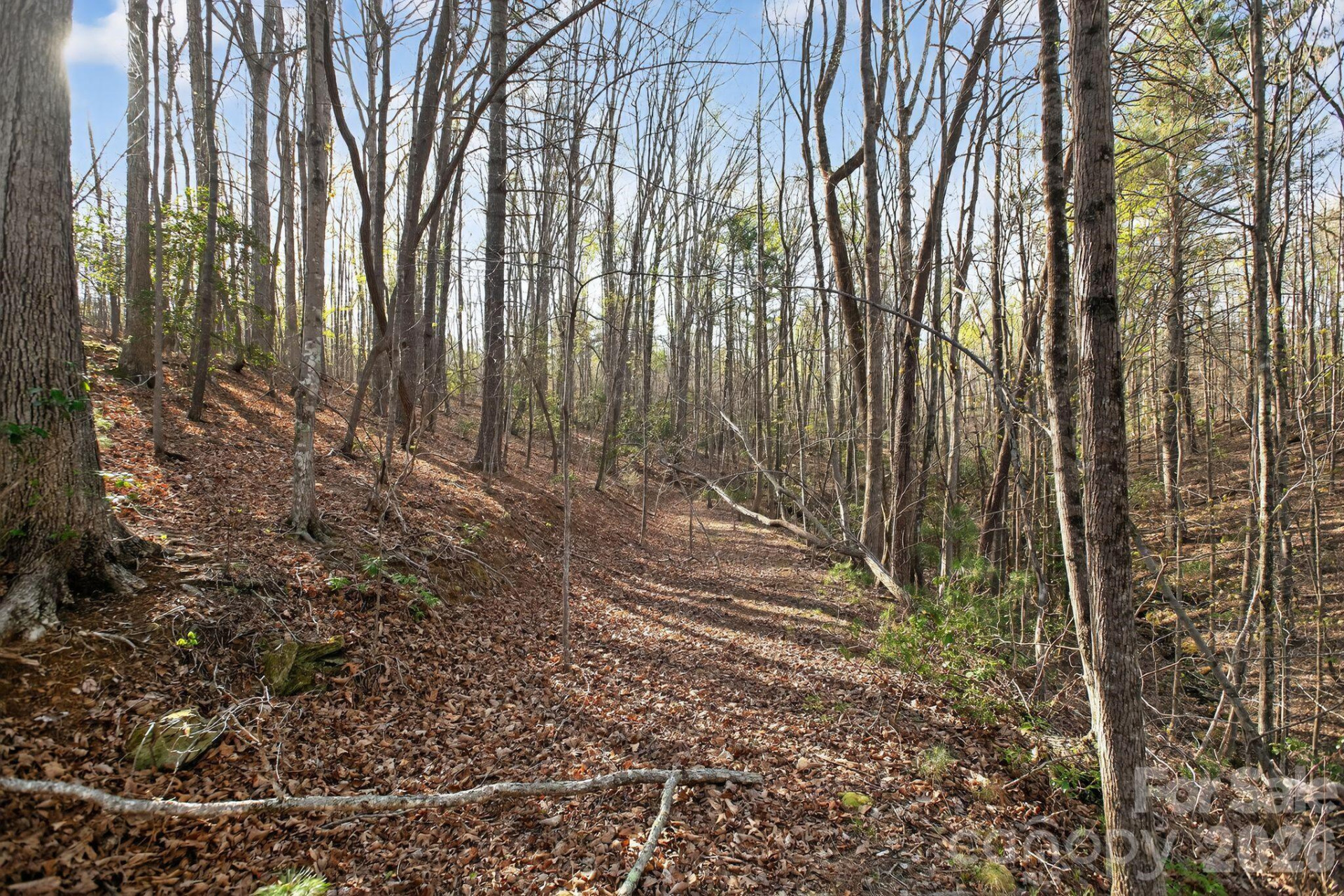 Lot 62 Dirksen Avenue - Photo 36