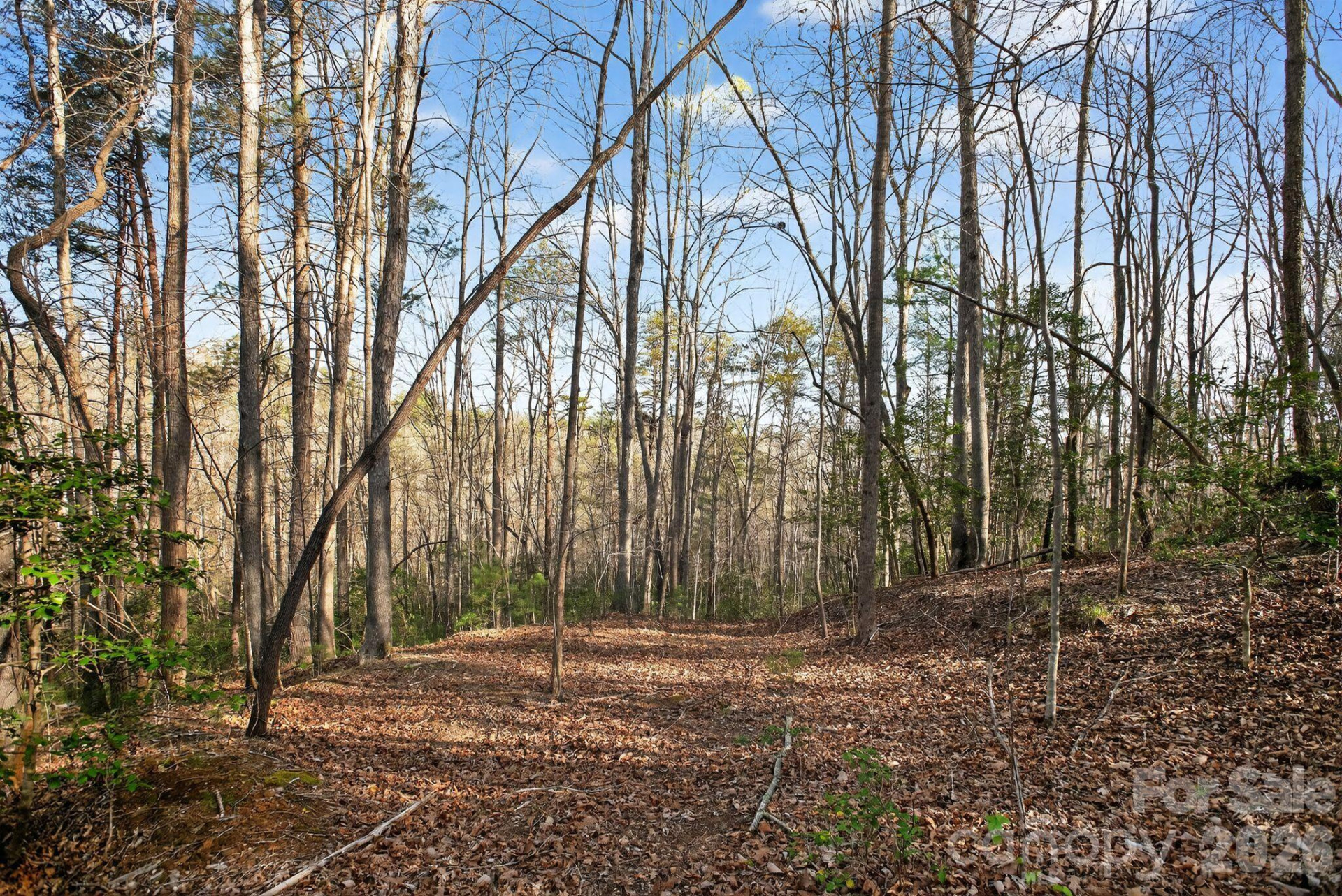 Lot 62 Dirksen Avenue - Photo 37