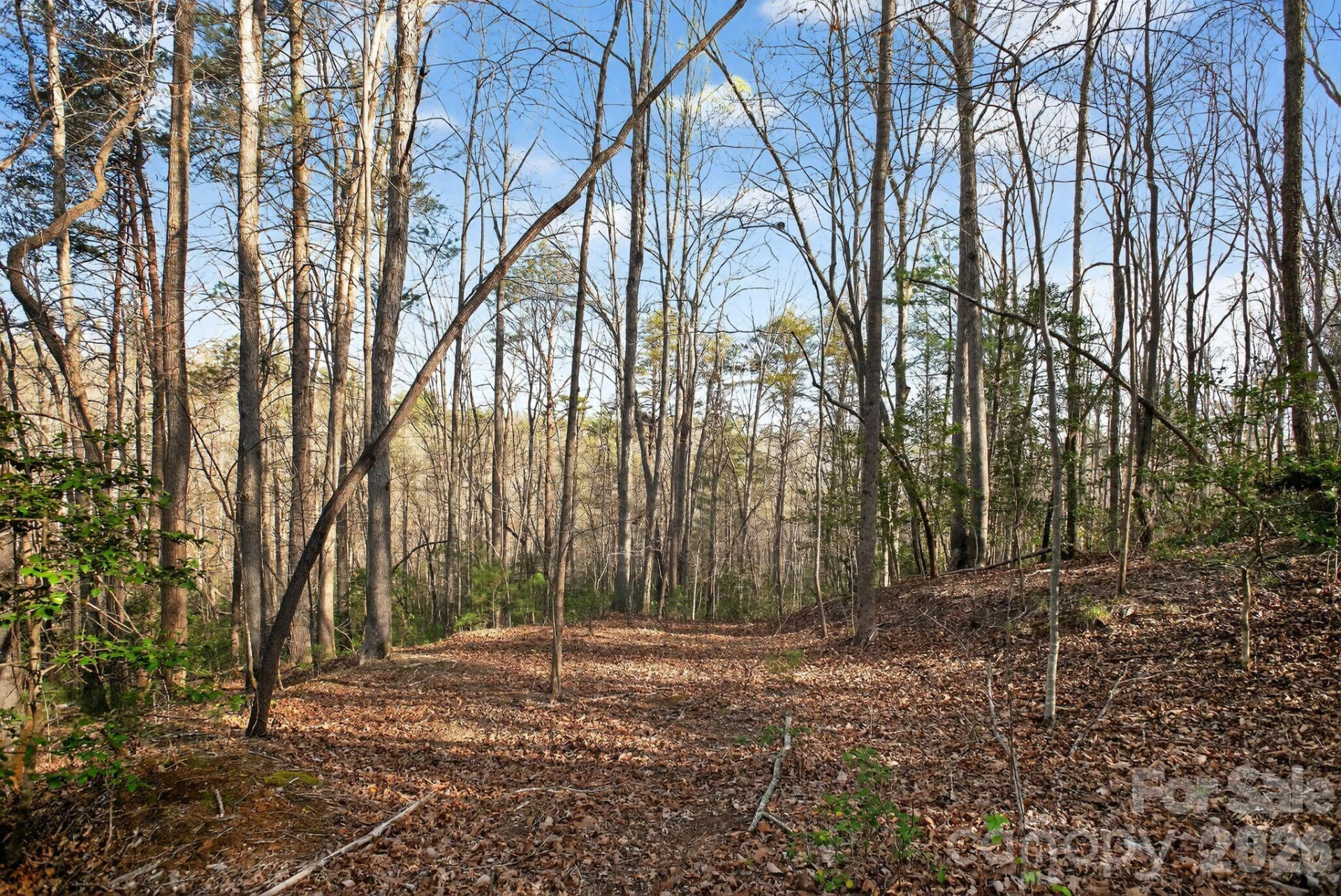 Lot 62 Dirksen Avenue - Photo 37
