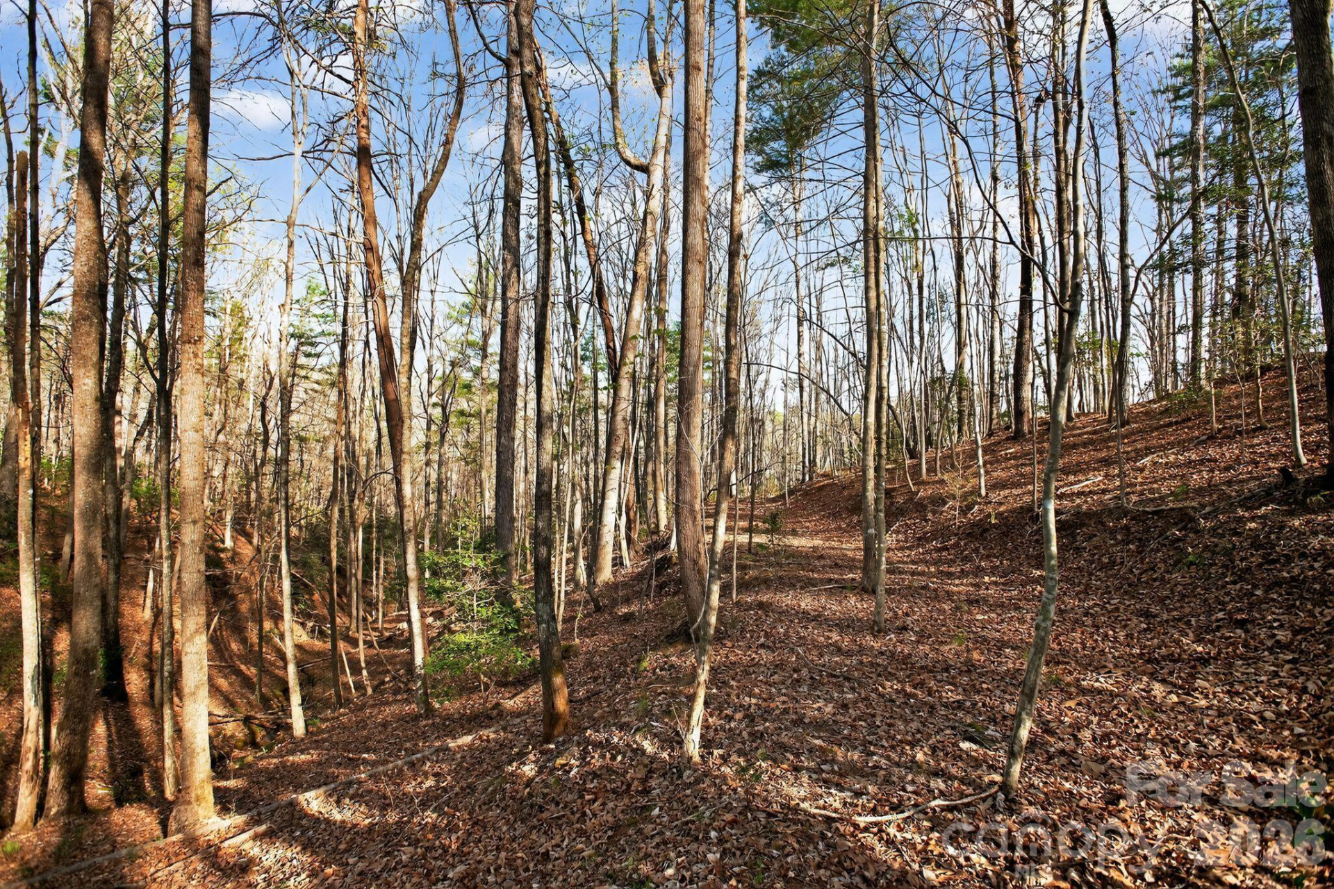 Lot 62 Dirksen Avenue - Photo 5