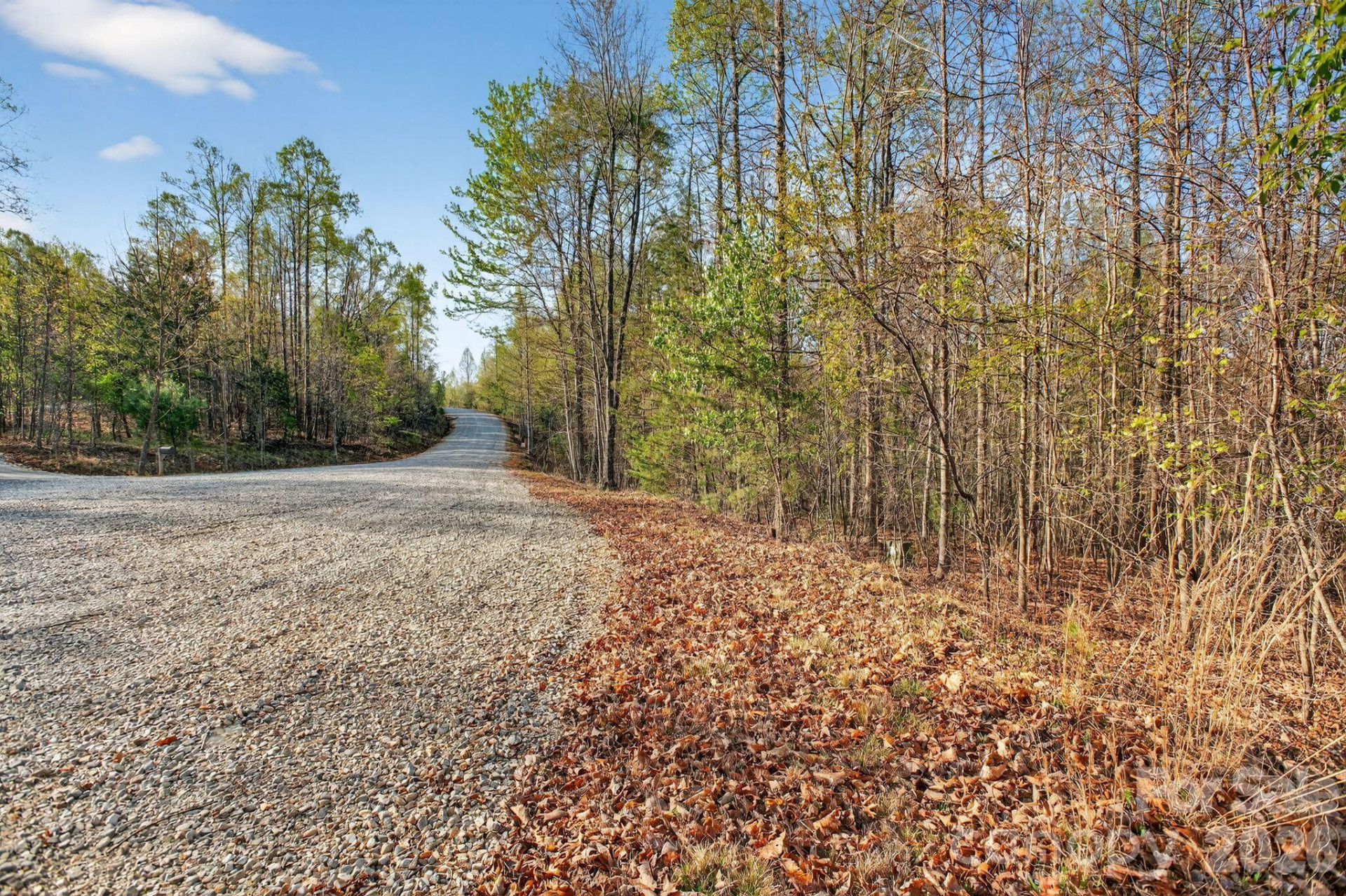 Lot 62 Dirksen Avenue - Photo 6