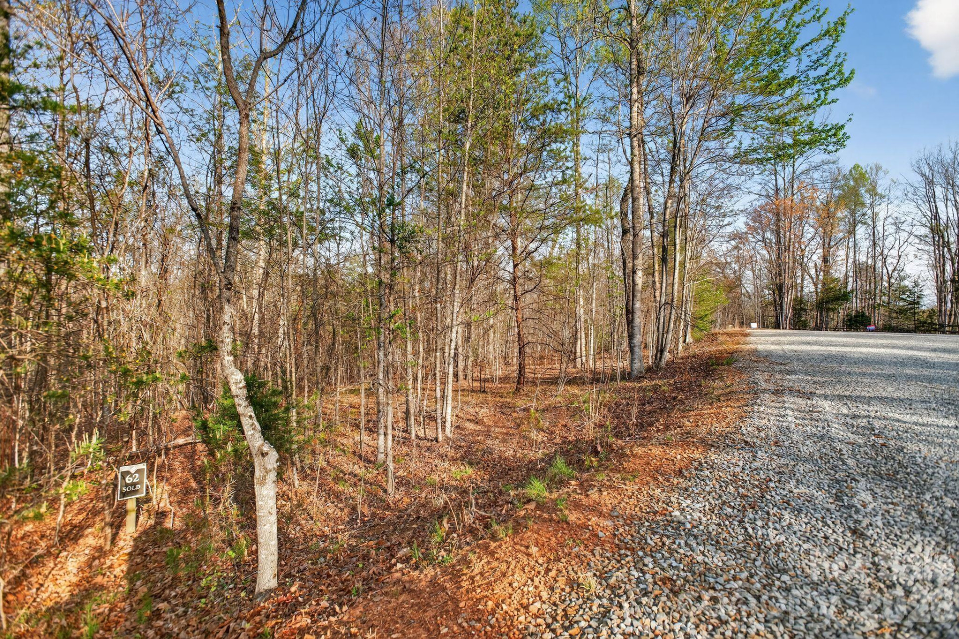 Lot 62 Dirksen Avenue - Photo 8