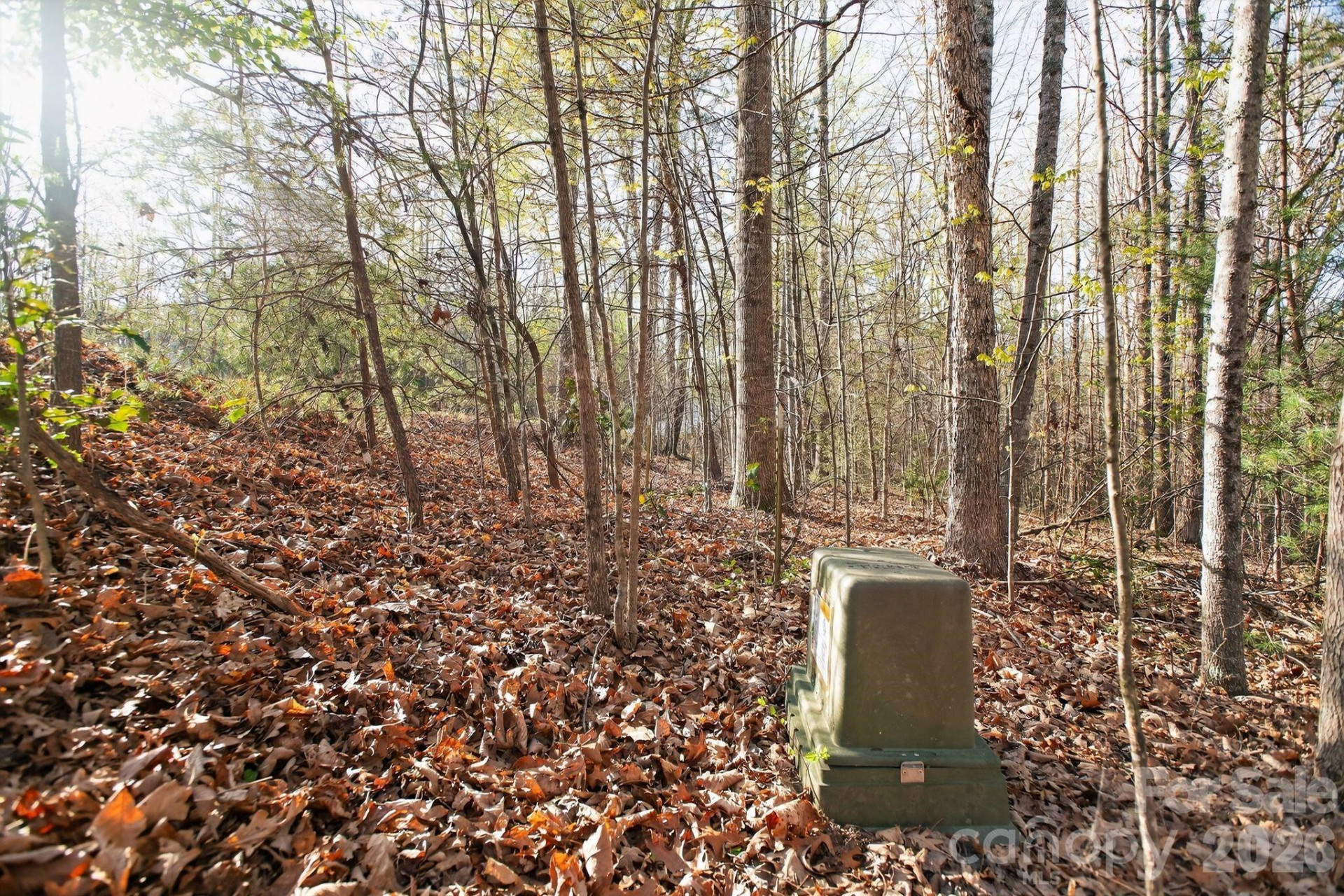 Lot 62 Dirksen Avenue - Photo 9