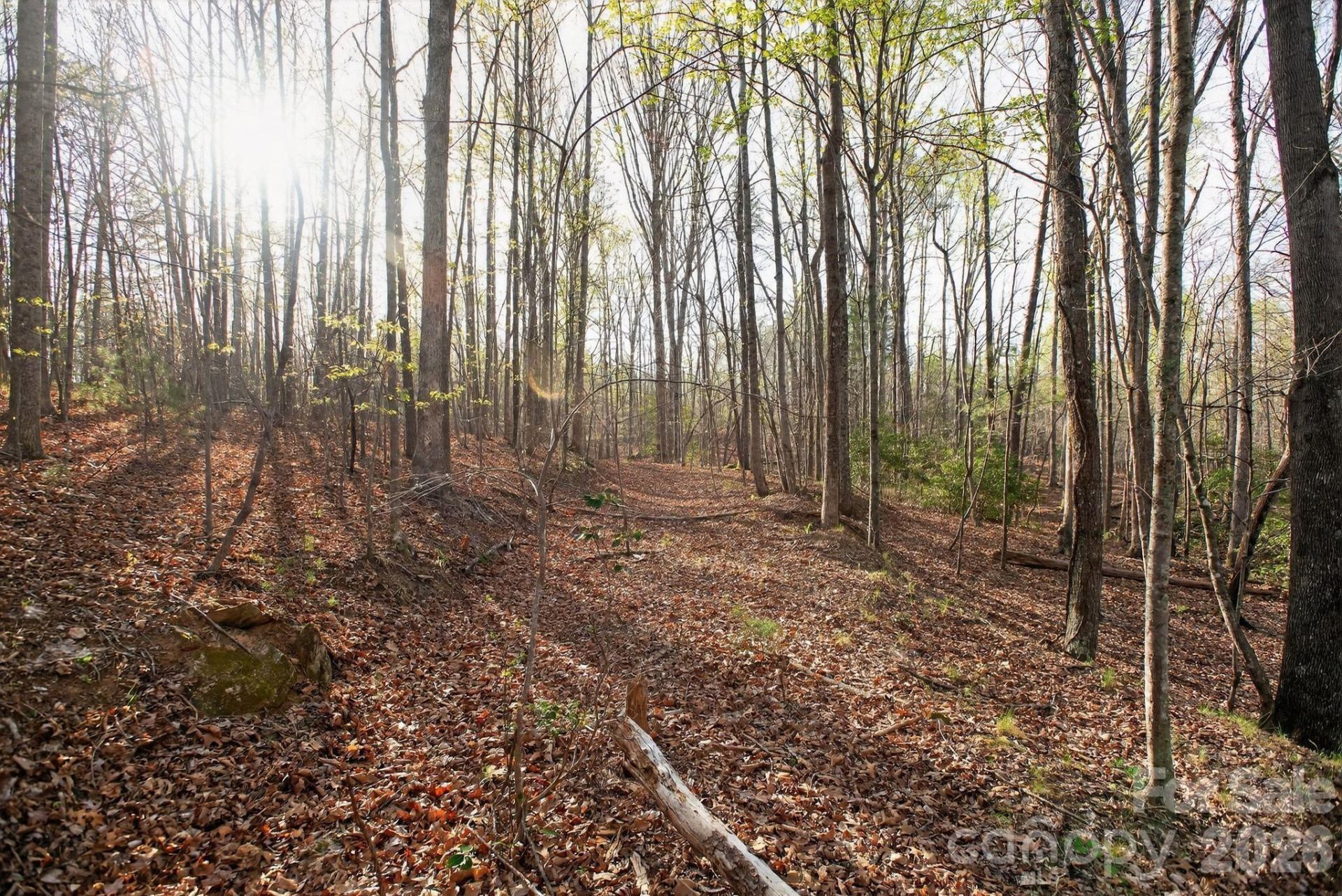 Lot 62 Dirksen Avenue - Photo 10