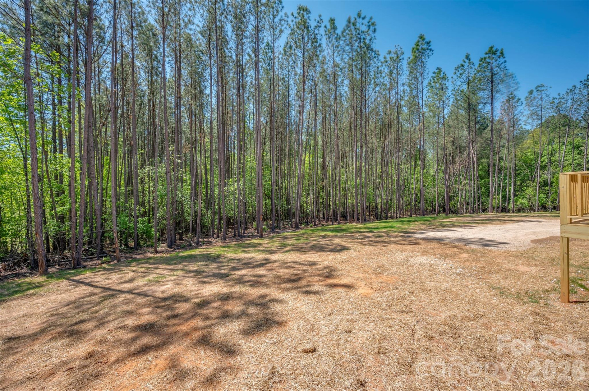 800 Tiney Road - Photo 32