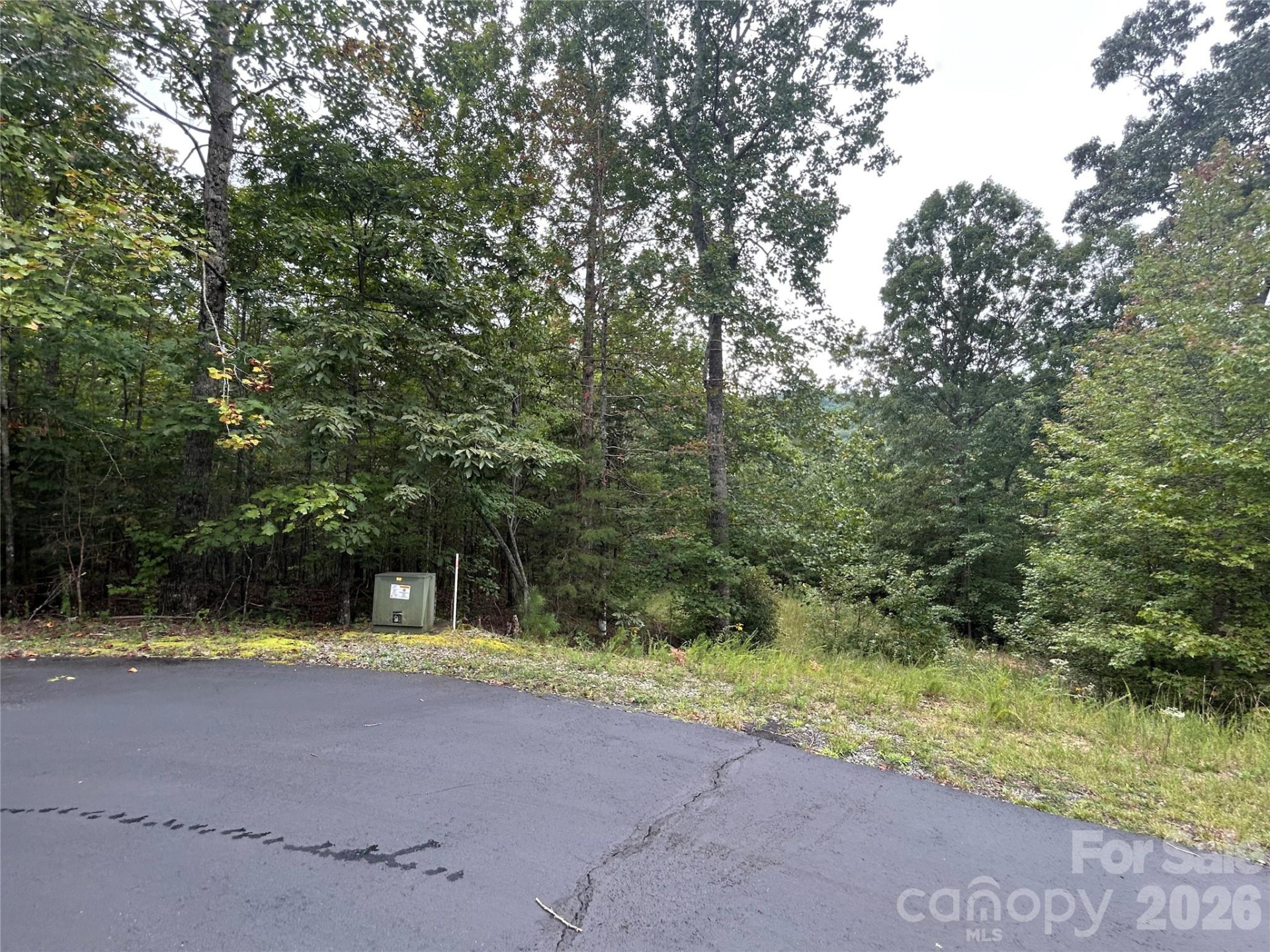 168 Robinwood Trail - Photo 12