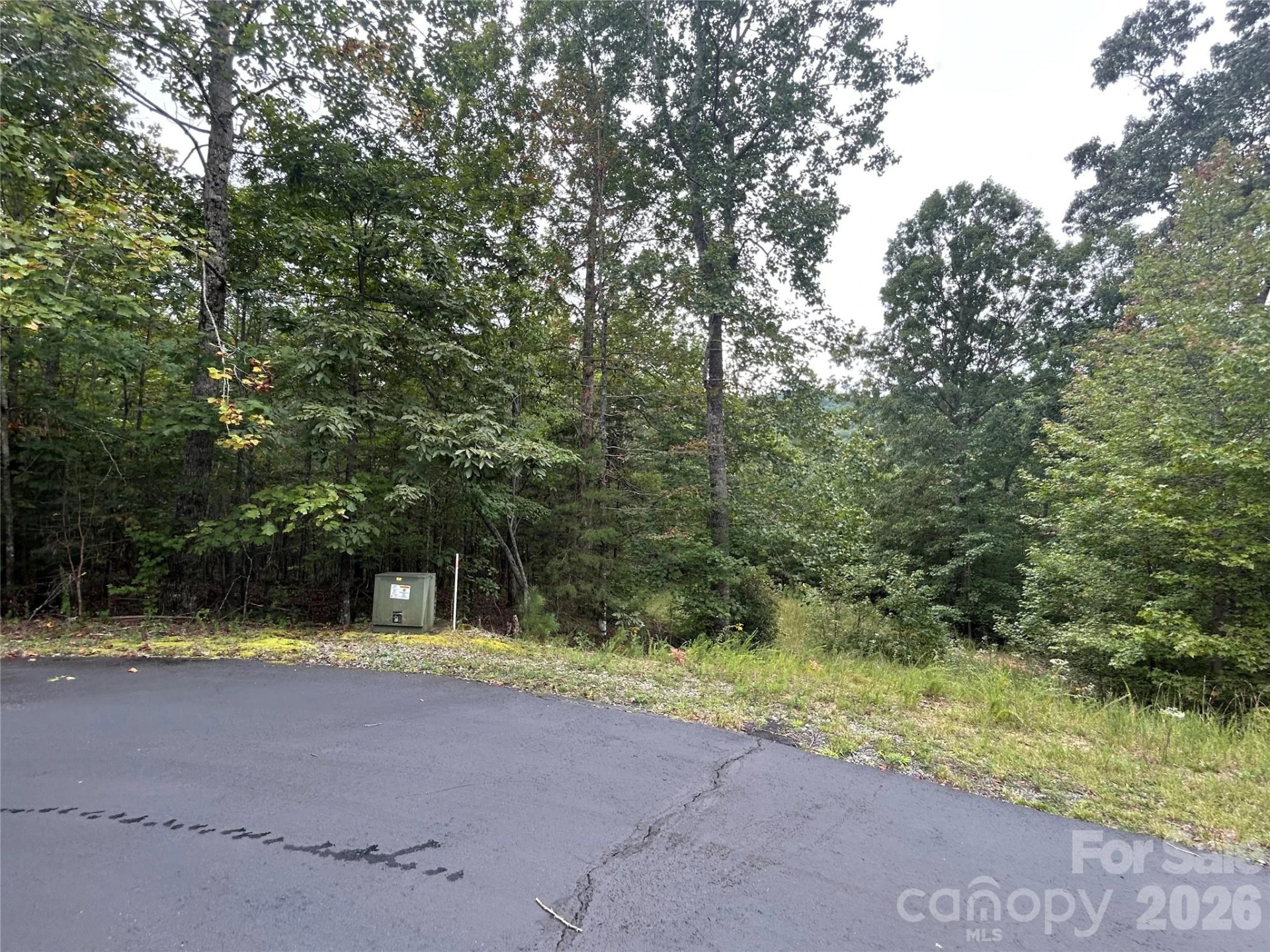 168 Robinwood Trail - Photo 12