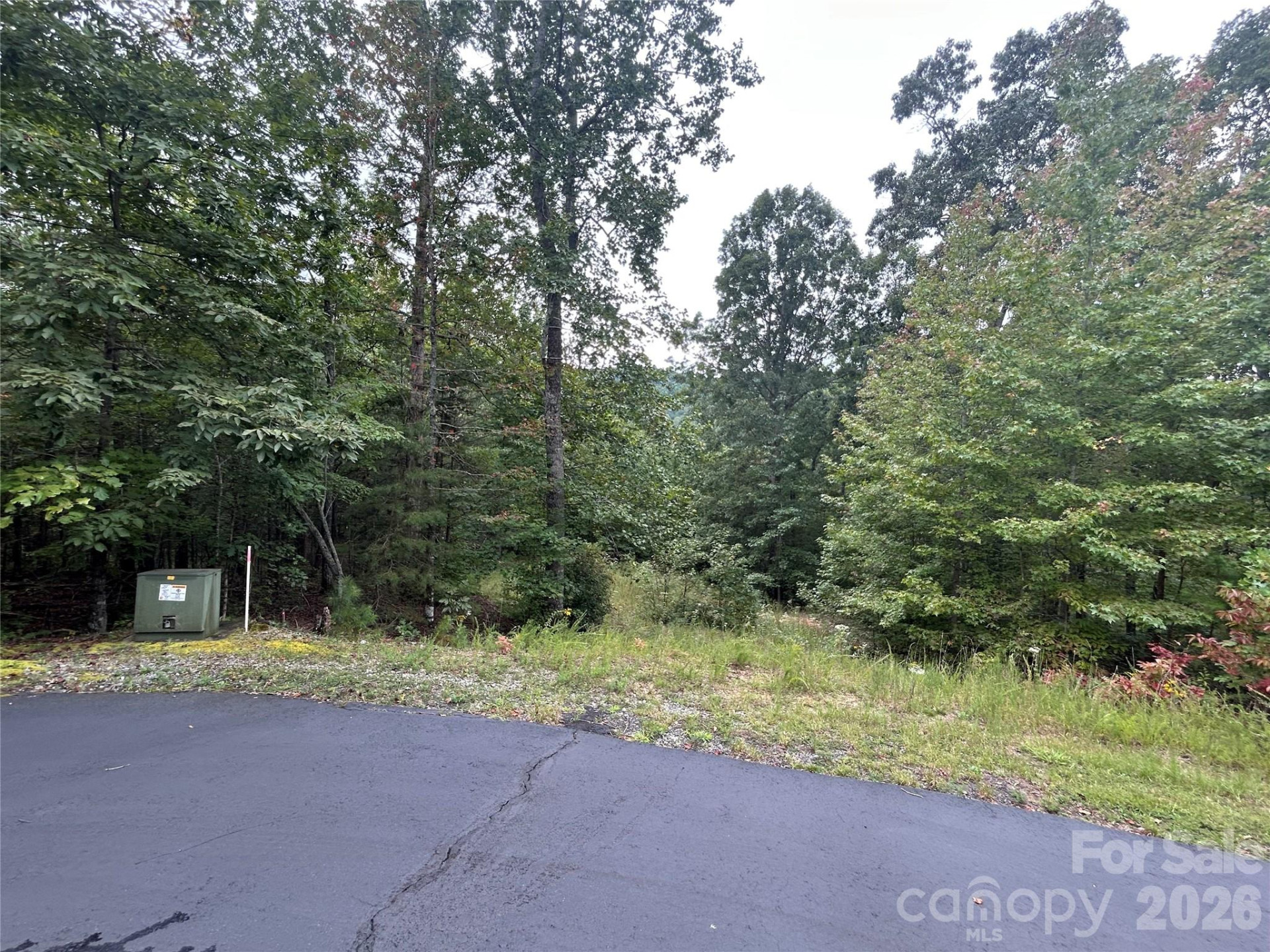 168 Robinwood Trail - Photo 13