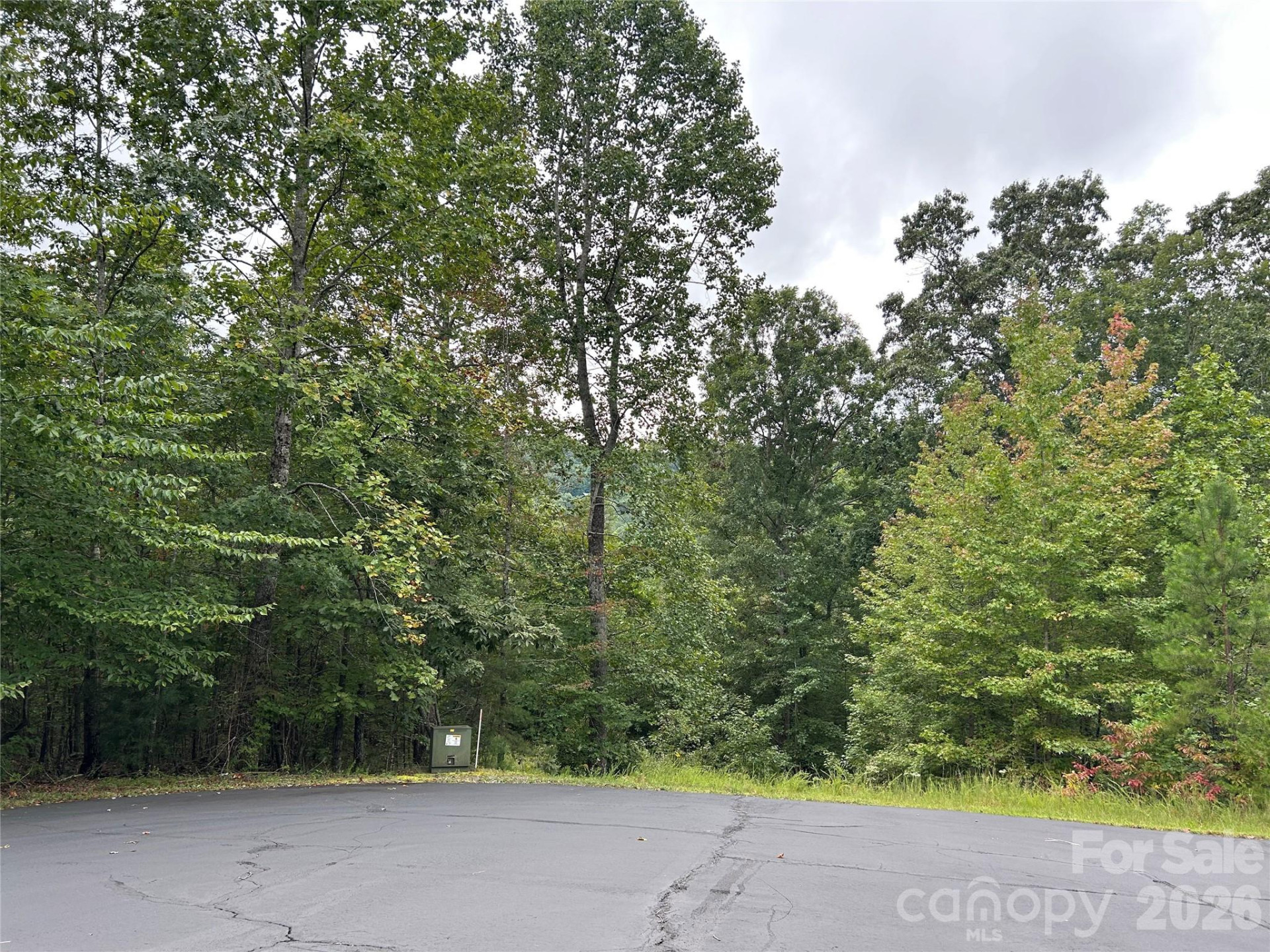 168 Robinwood Trail - Photo 15