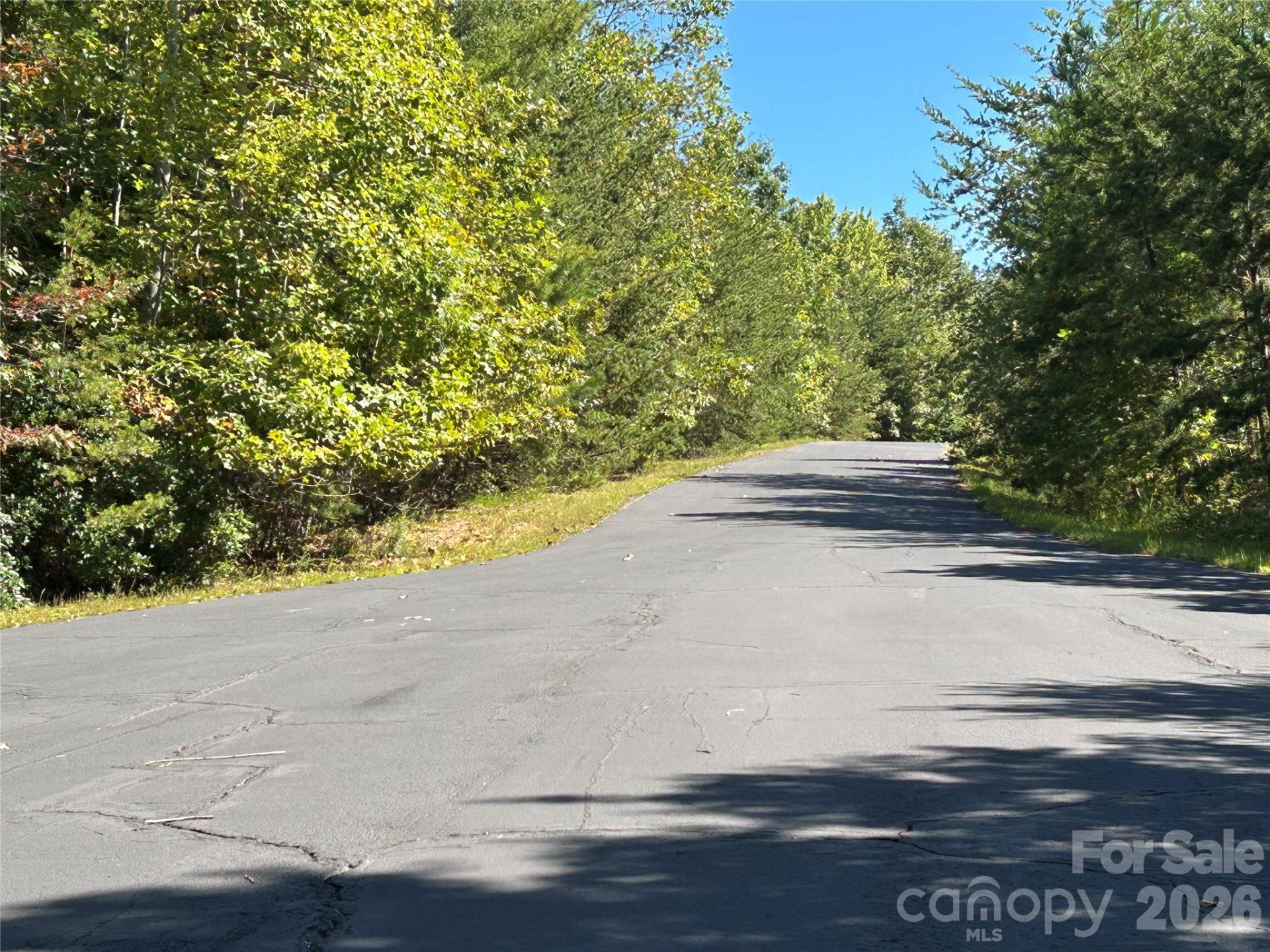 168 Robinwood Trail - Photo 3