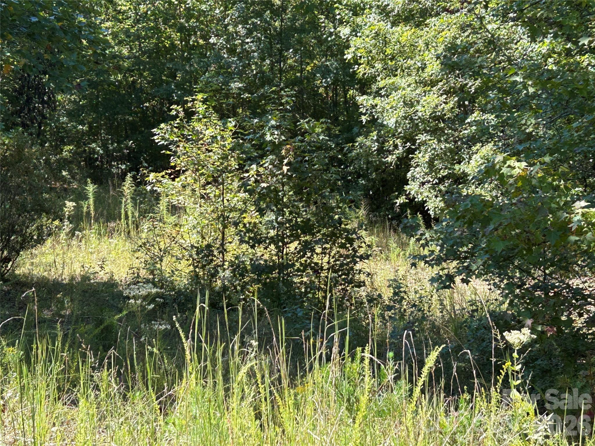 168 Robinwood Trail - Photo 4