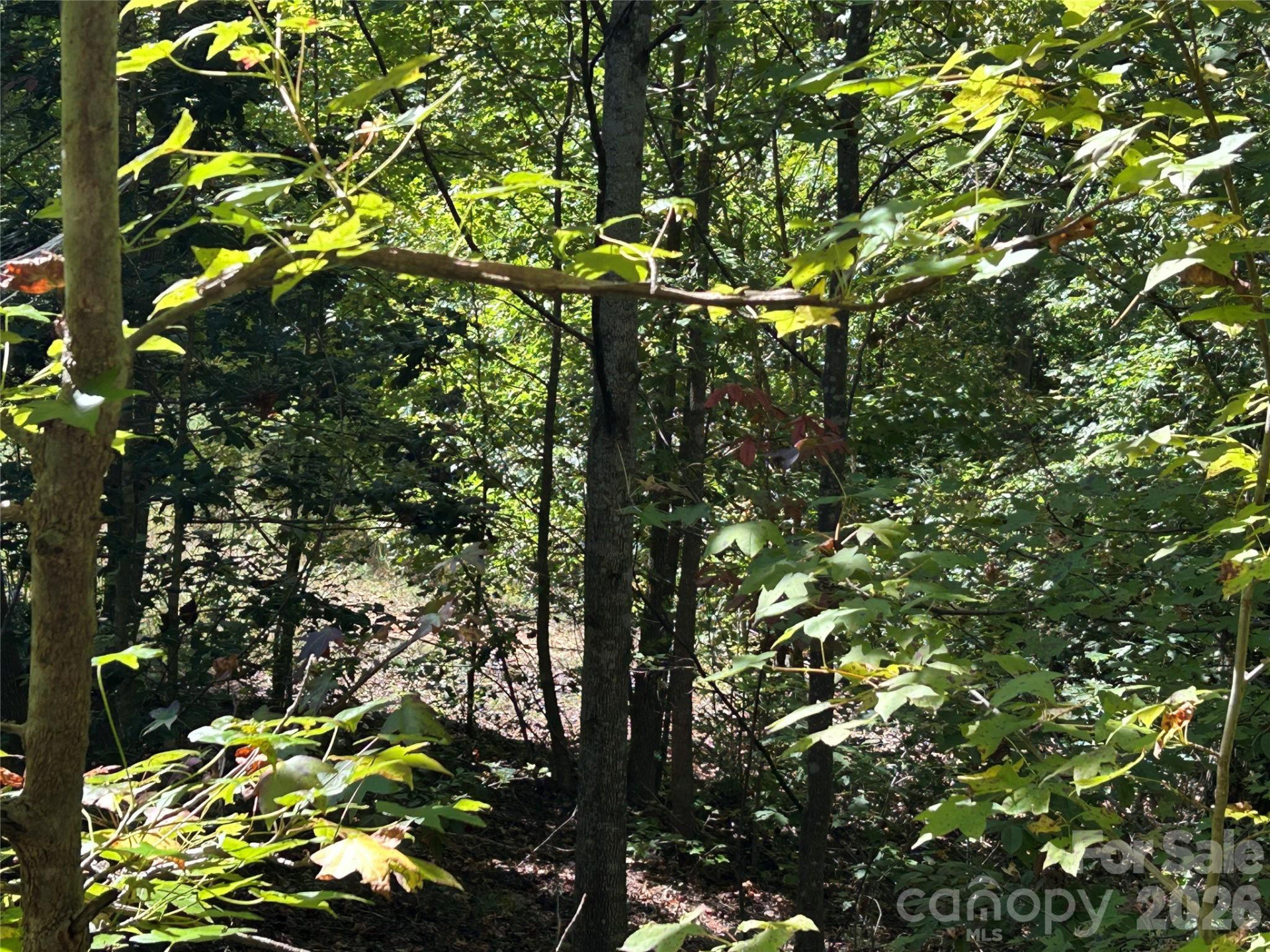 168 Robinwood Trail - Photo 5