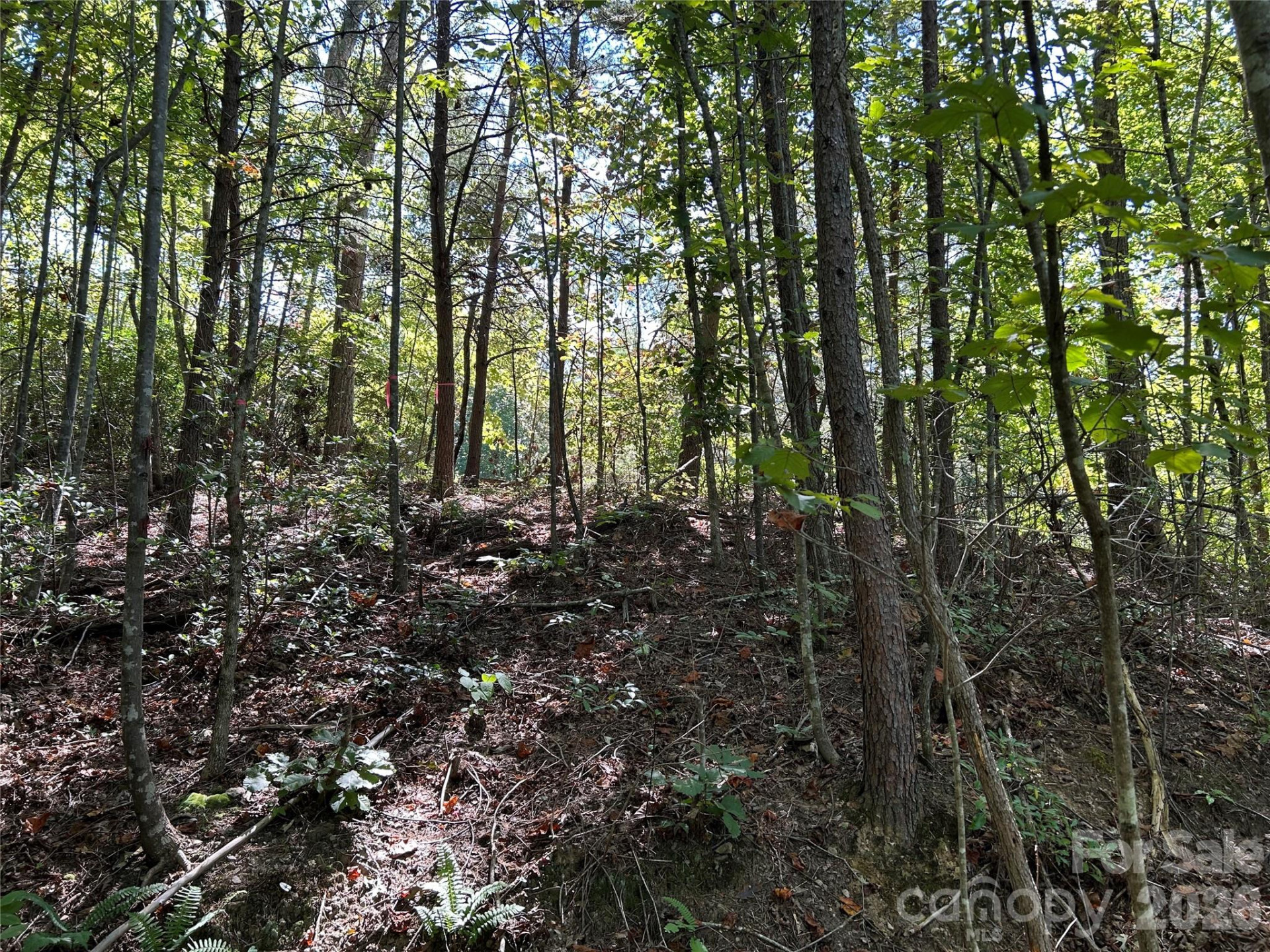 168 Robinwood Trail - Photo 8
