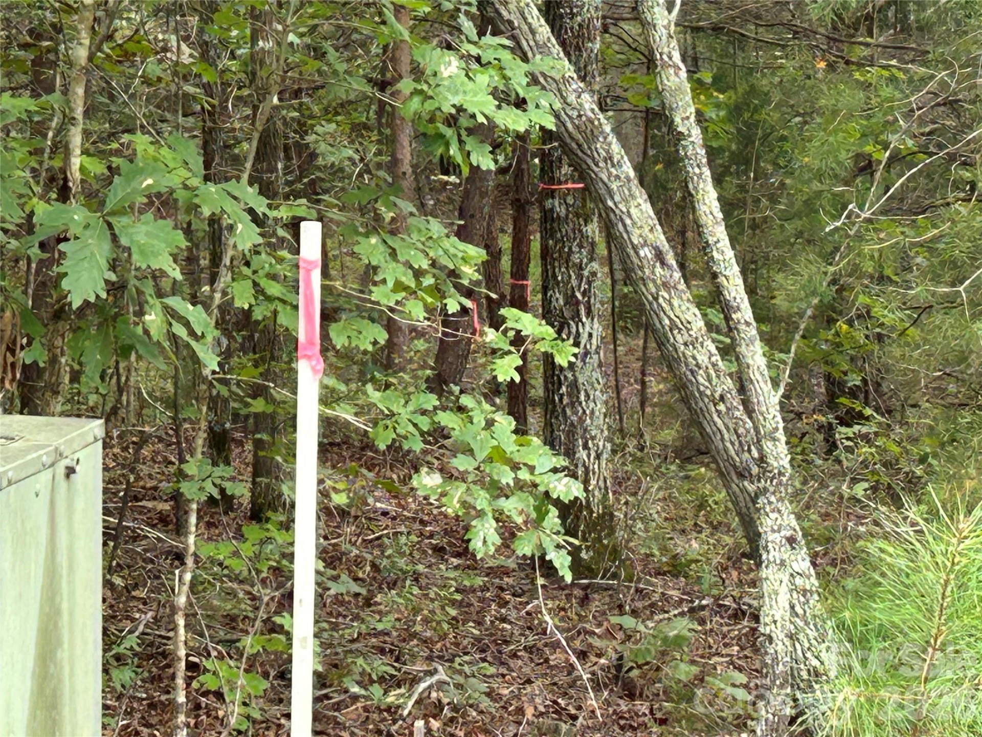 168 Robinwood Trail - Photo 10