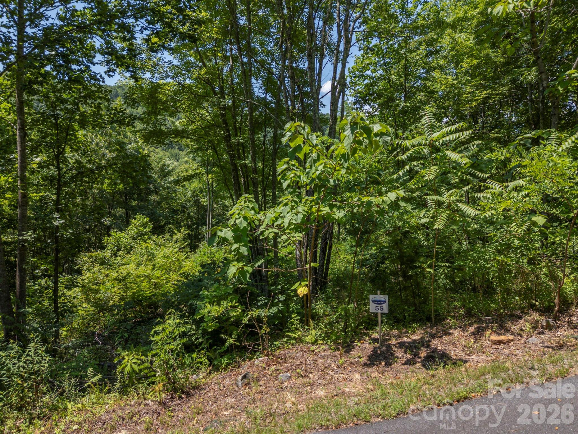 0 Labras Drive #55 - Photo 11