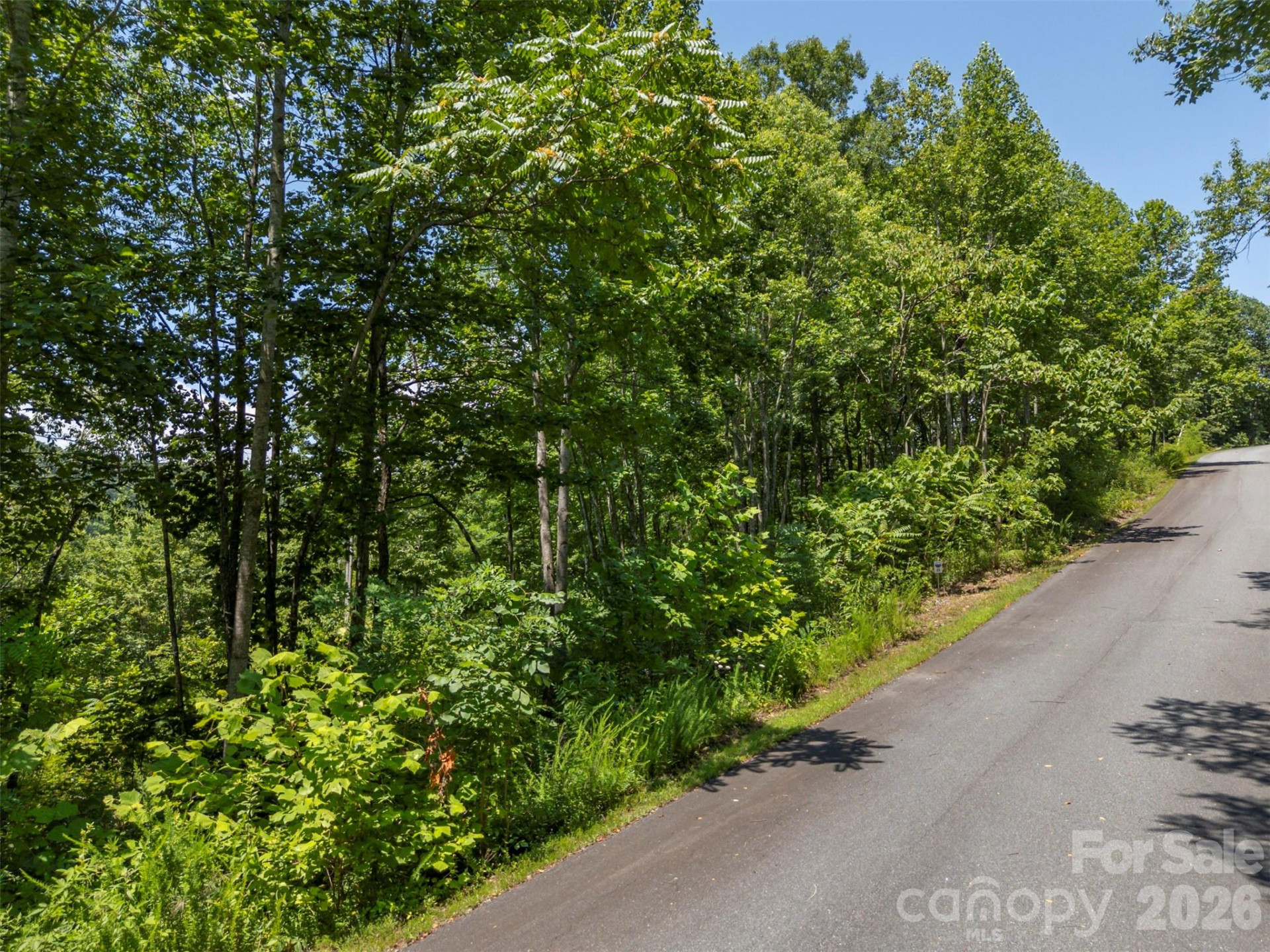 0 Labras Drive #55 - Photo 12