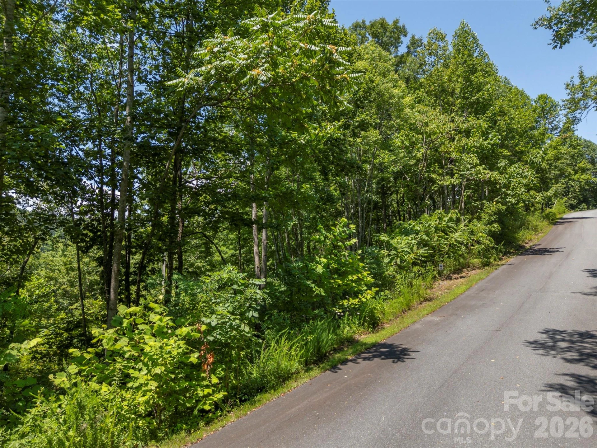 0 Labras Drive #55 - Photo 12