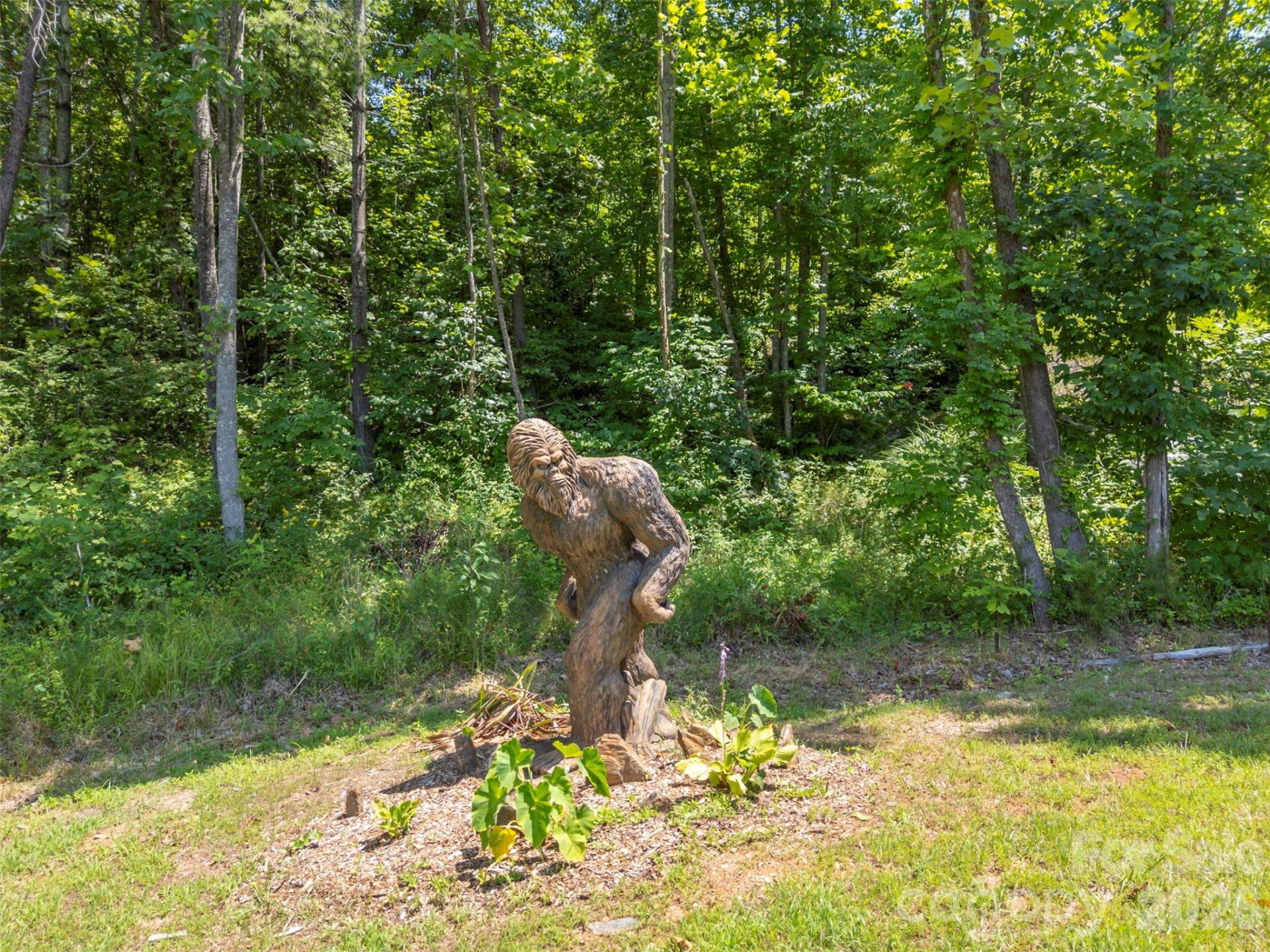 0 Labras Drive #55 - Photo 16