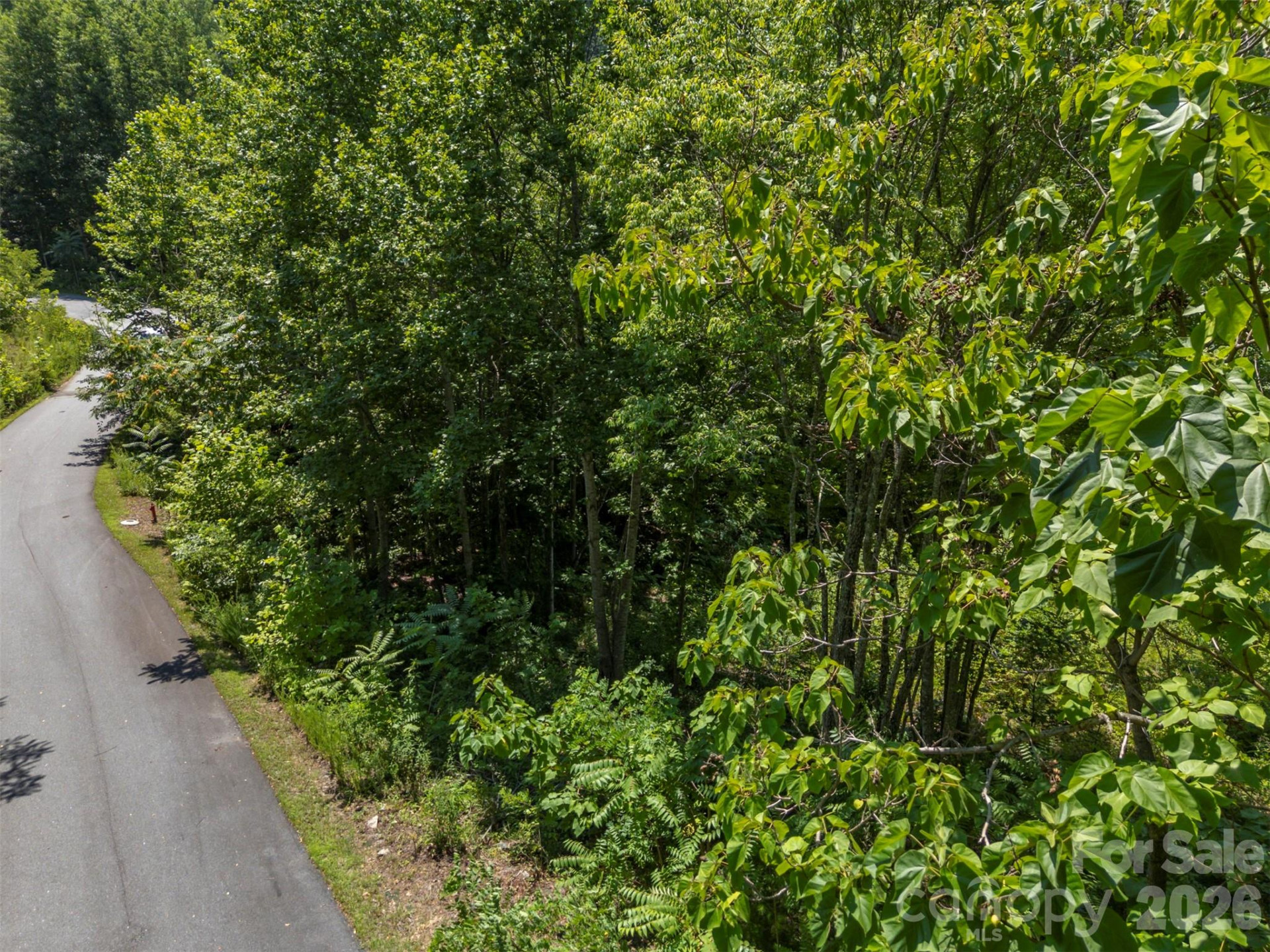 0 Labras Drive #55 - Photo 9