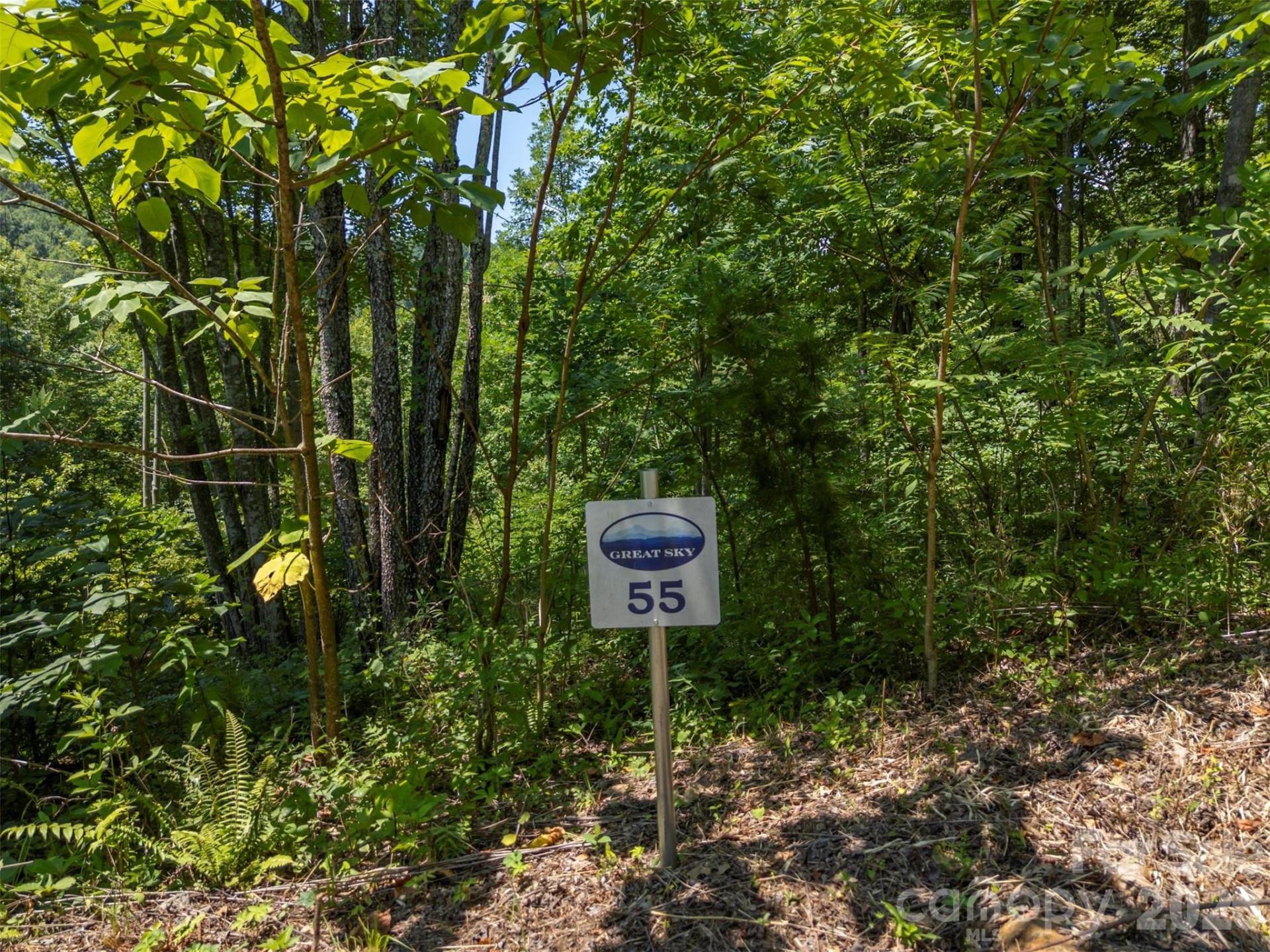 0 Labras Drive #55 - Photo 10