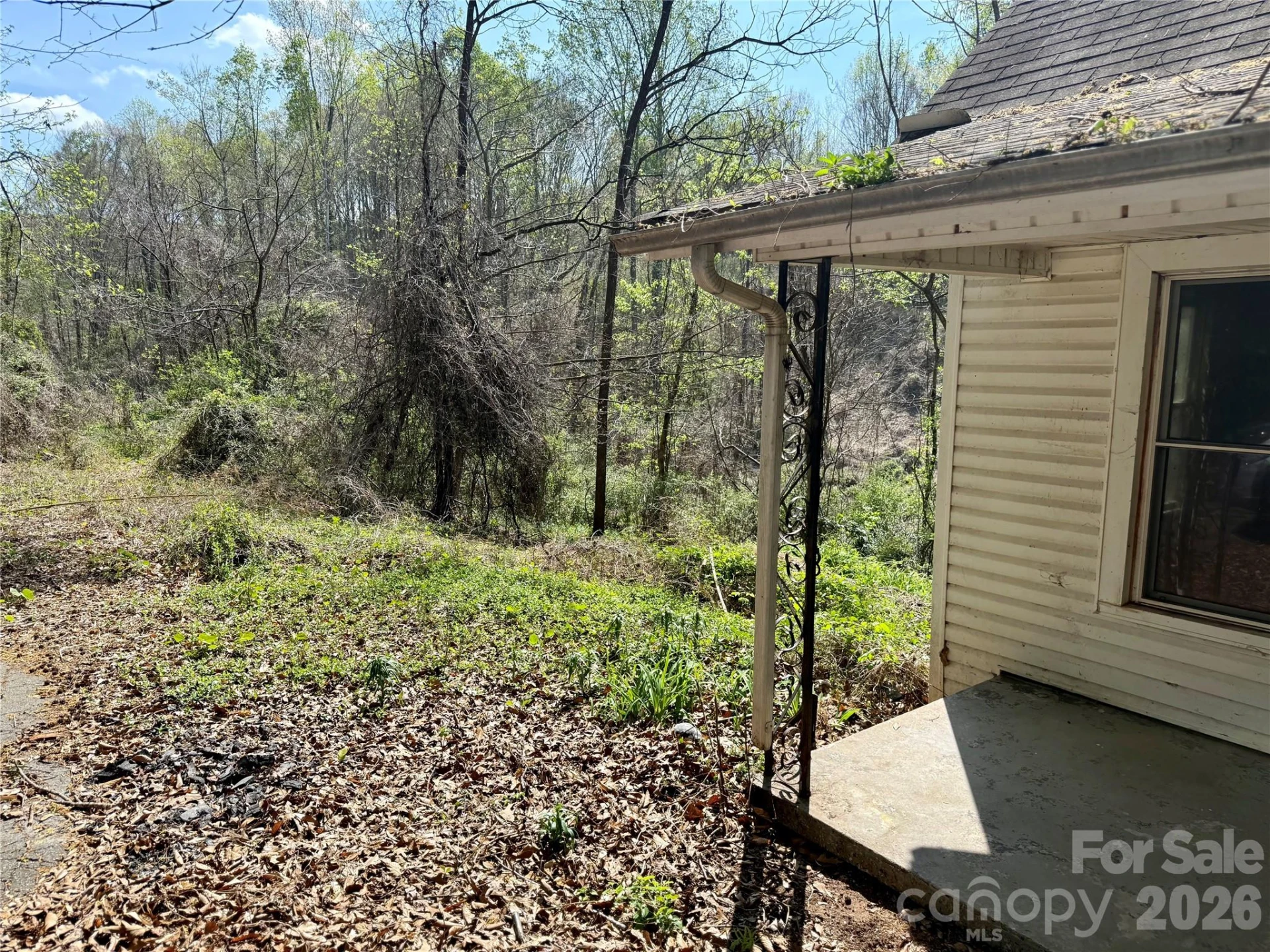 144 Branch Street - Photo 18