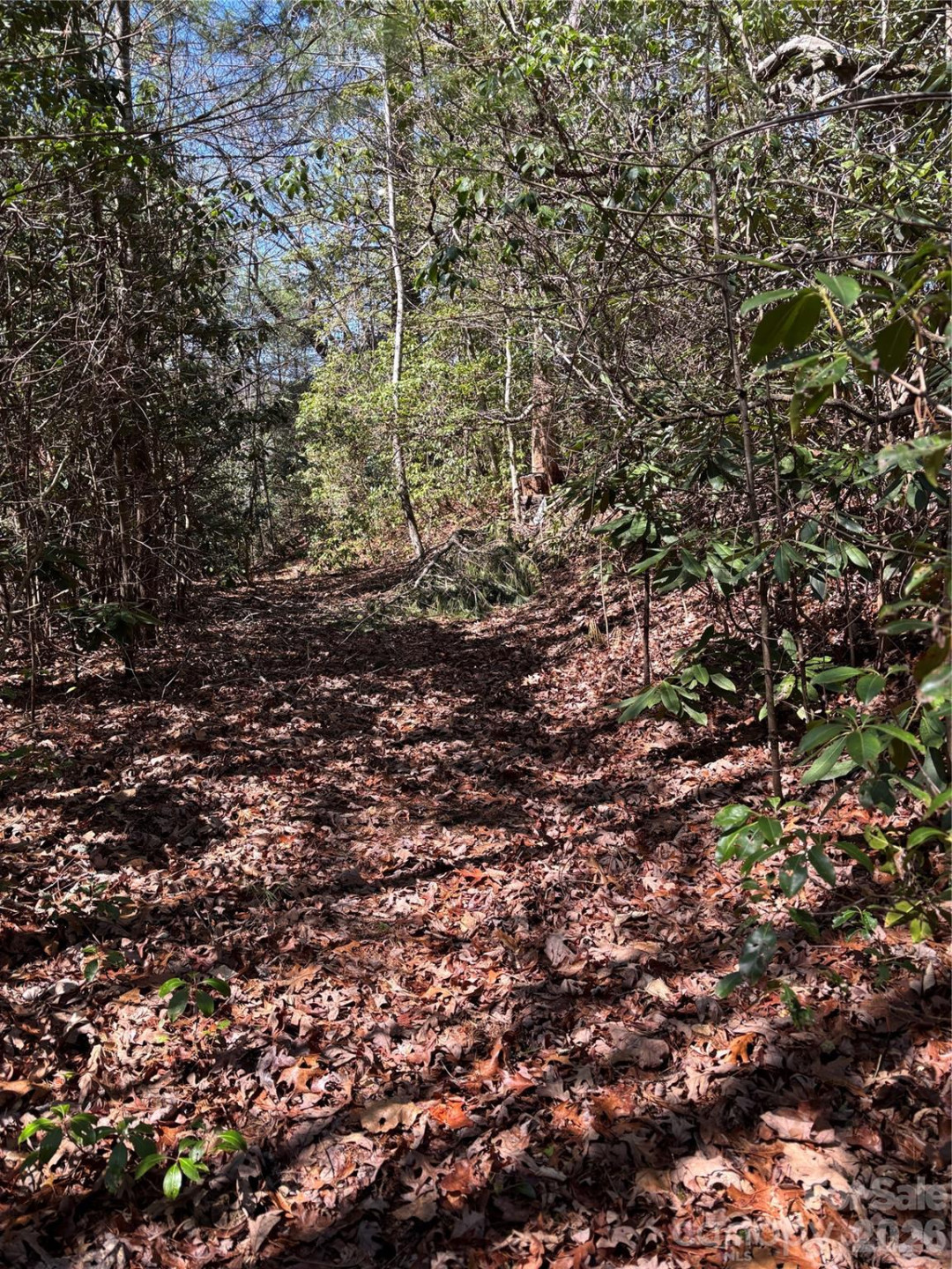 TBD Top of the Mountain Road - Photo 11