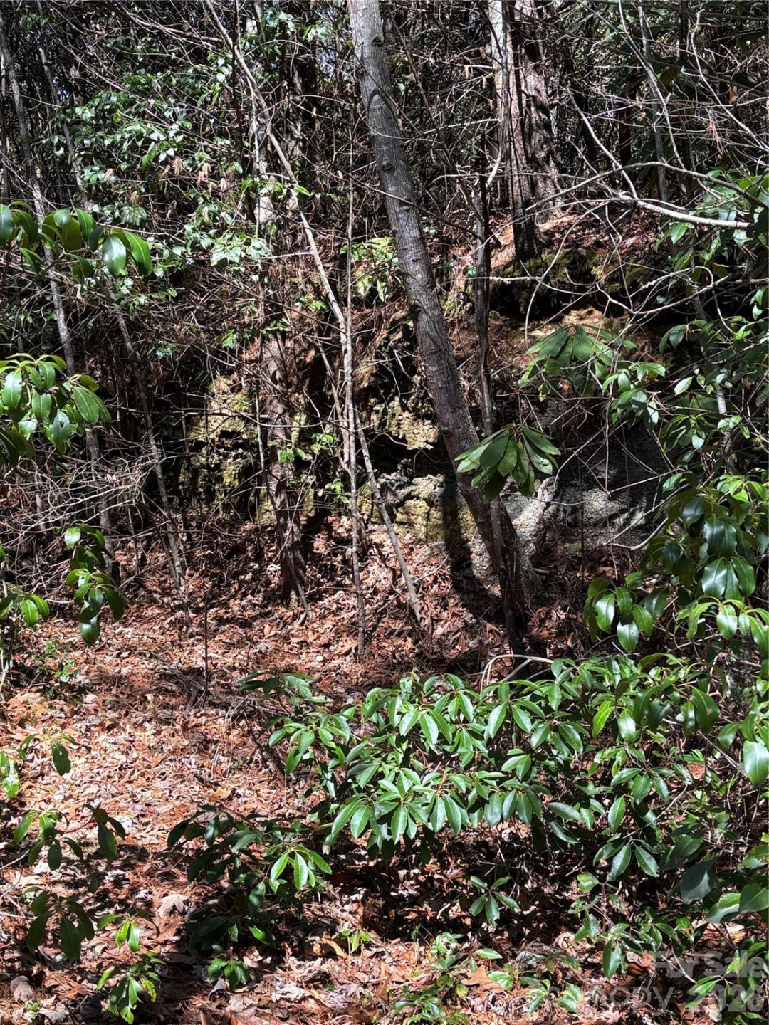 TBD Top of the Mountain Road - Photo 12