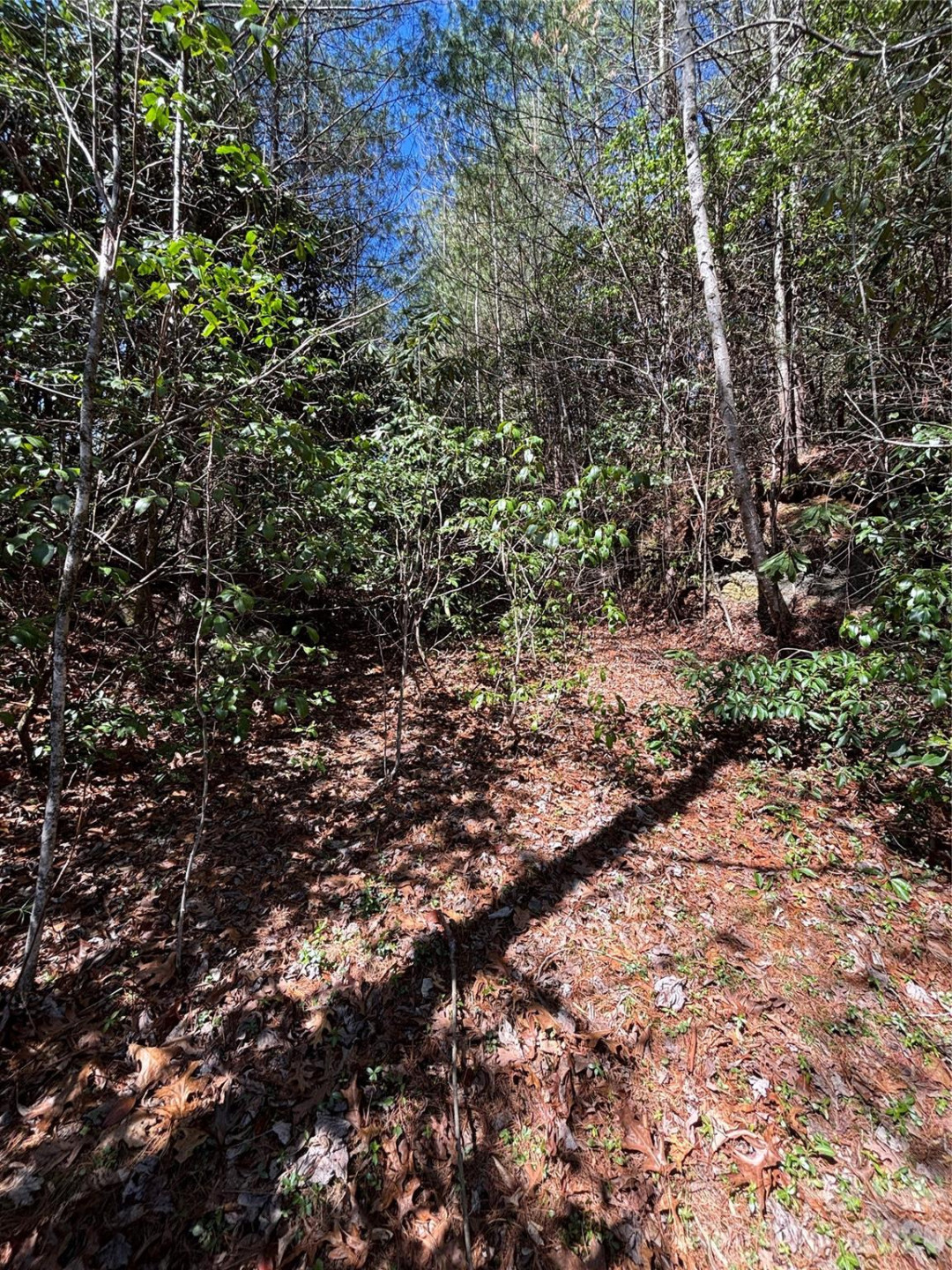 TBD Top of the Mountain Road - Photo 13