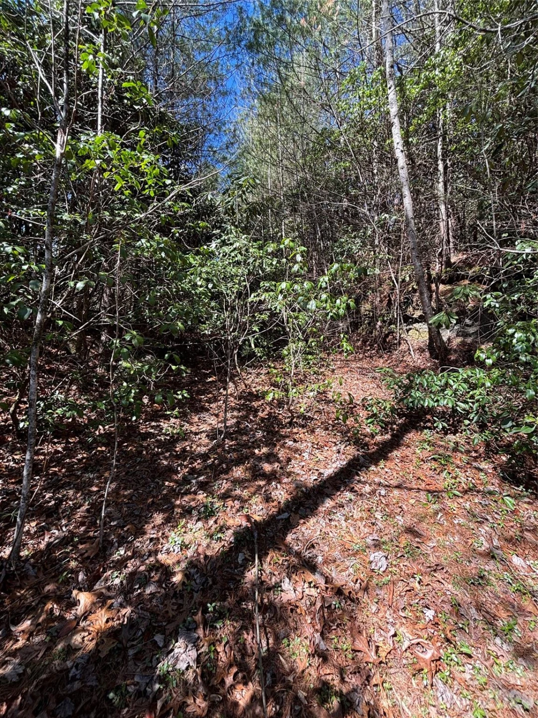 TBD Top of the Mountain Road - Photo 13