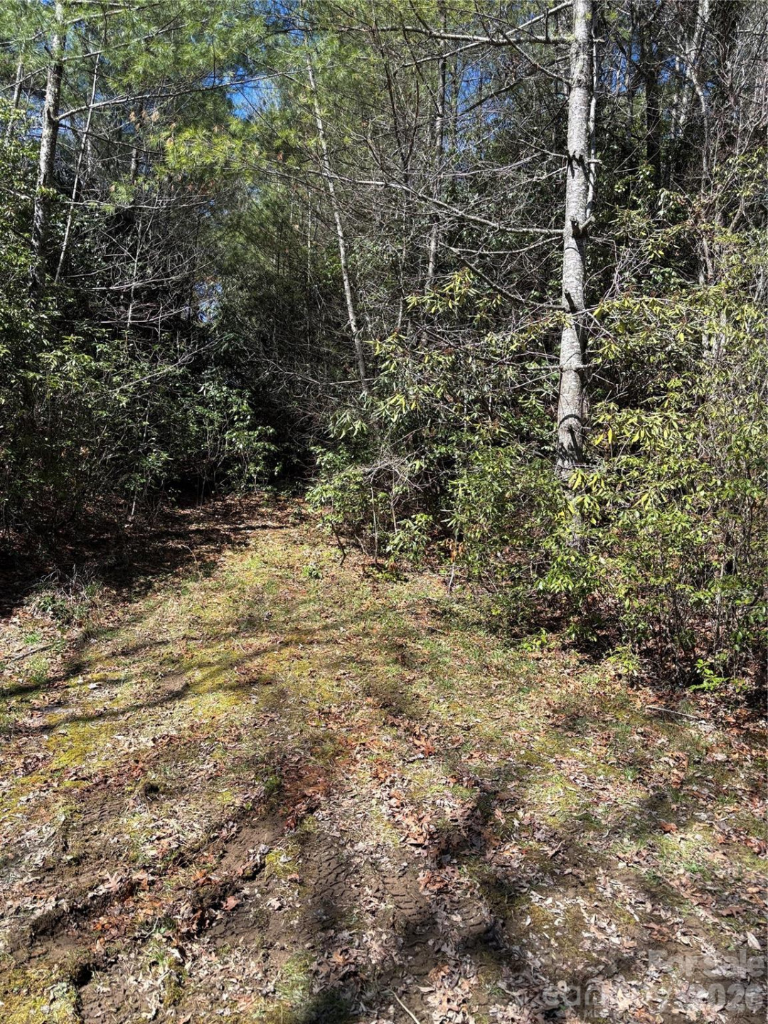 TBD Top of the Mountain Road - Photo 14