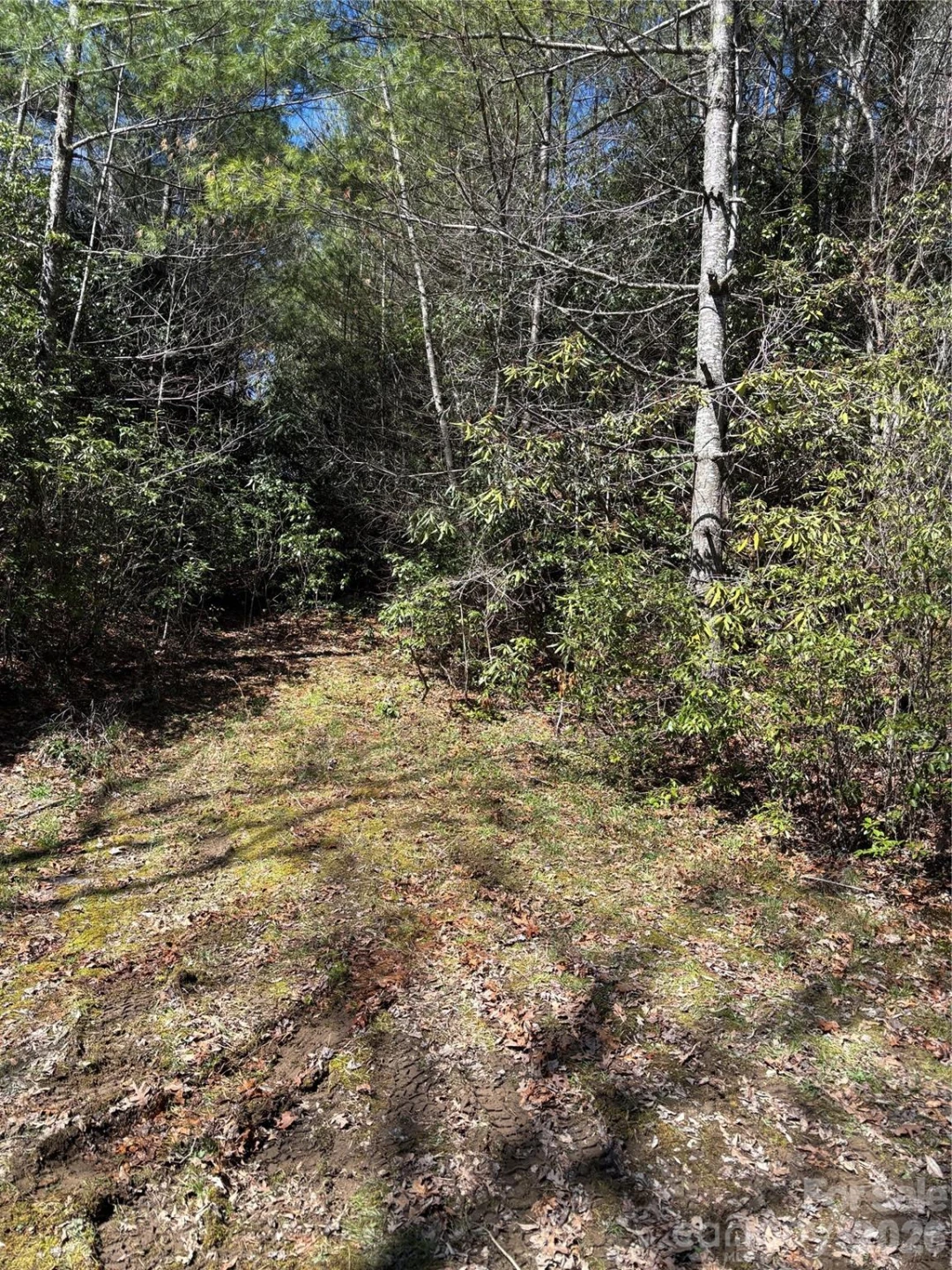 TBD Top of the Mountain Road - Photo 14