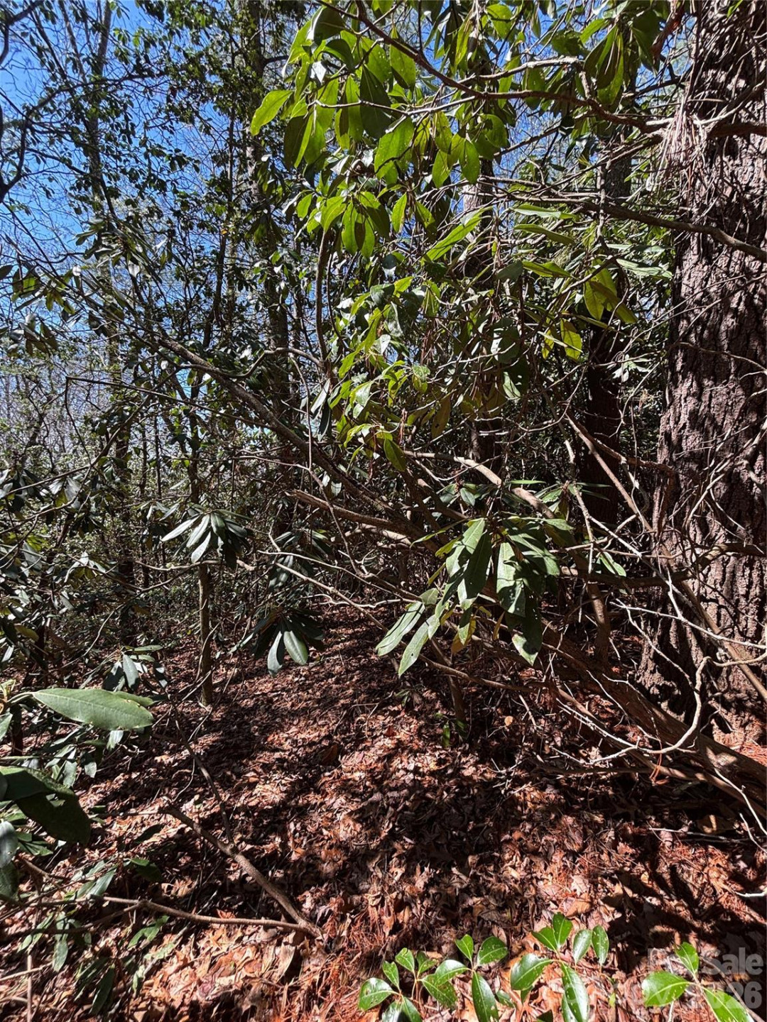 TBD Top of the Mountain Road - Photo 3