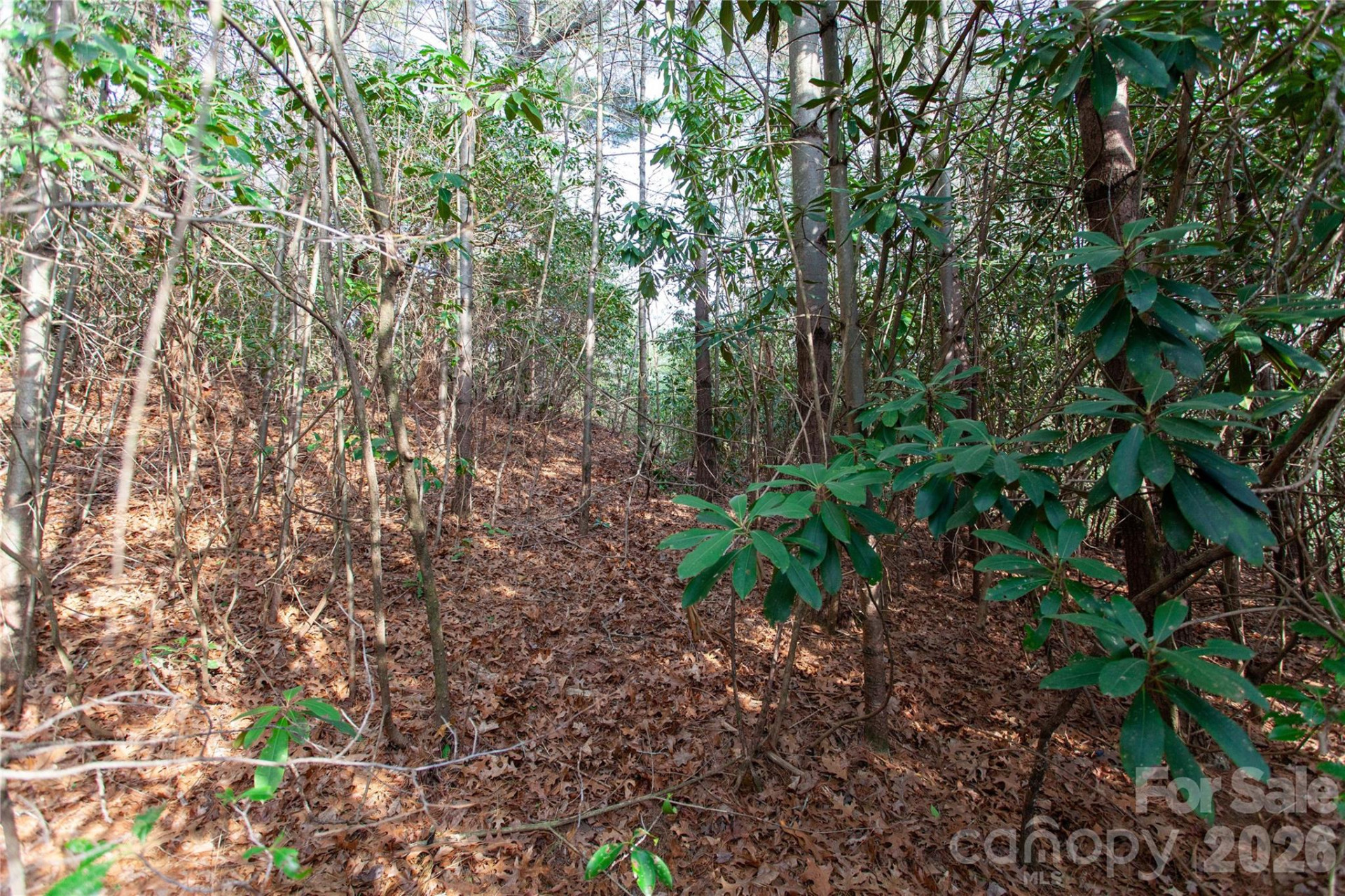 TBD Top of the Mountain Road - Photo 25