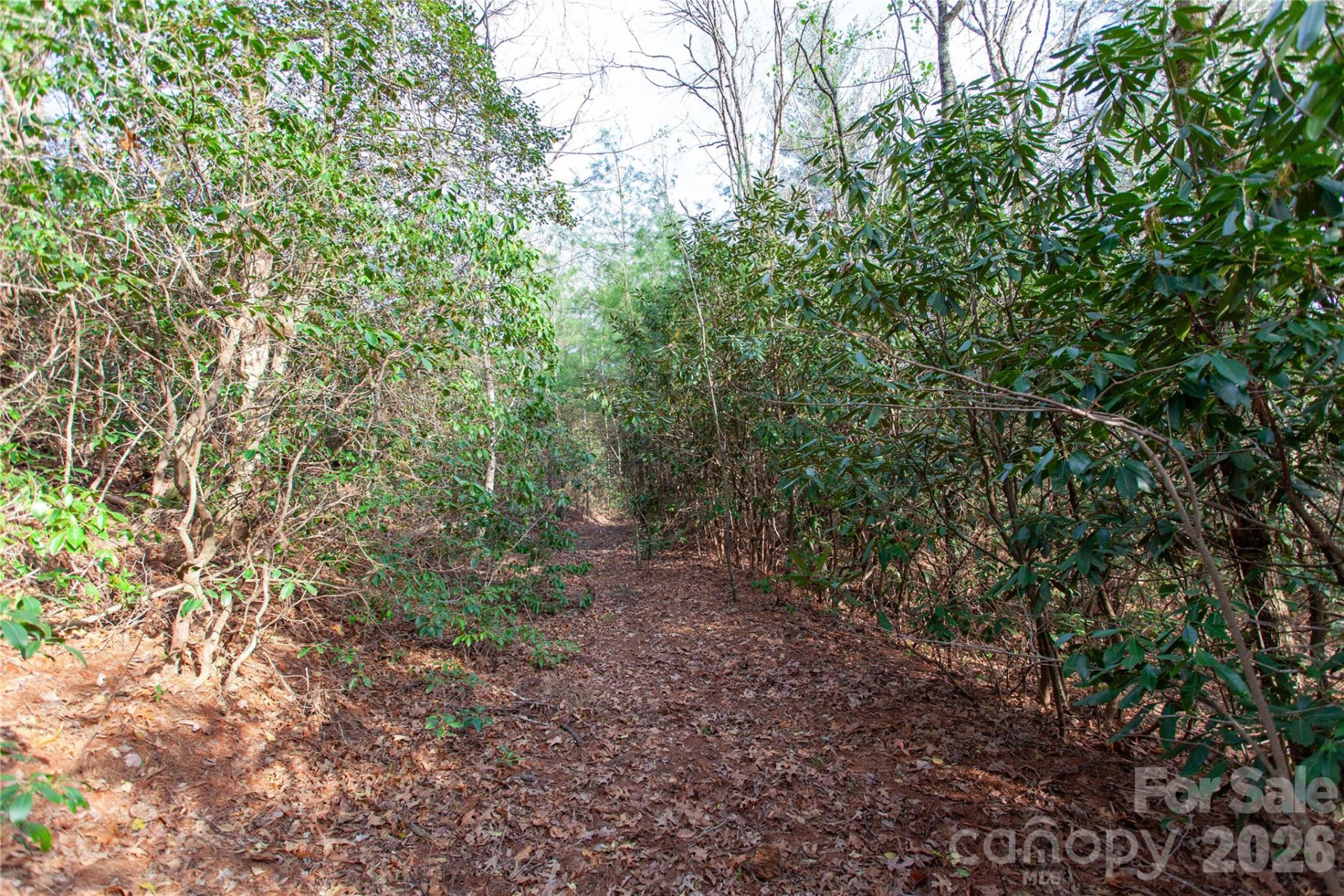 TBD Top of the Mountain Road - Photo 26