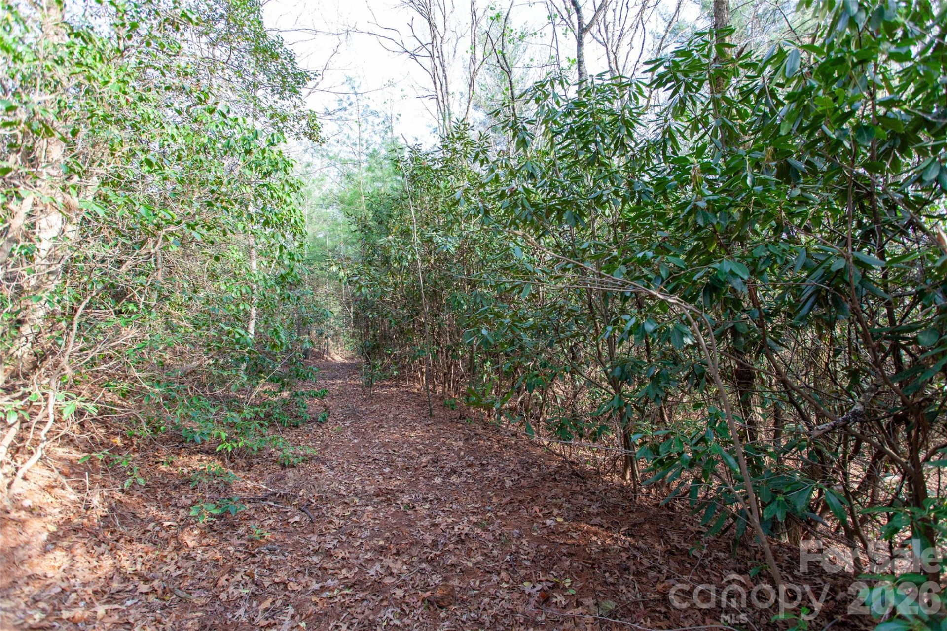 TBD Top of the Mountain Road - Photo 27