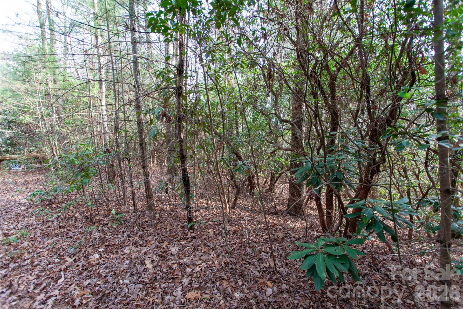 TBD Top of the Mountain Road - Photo 29