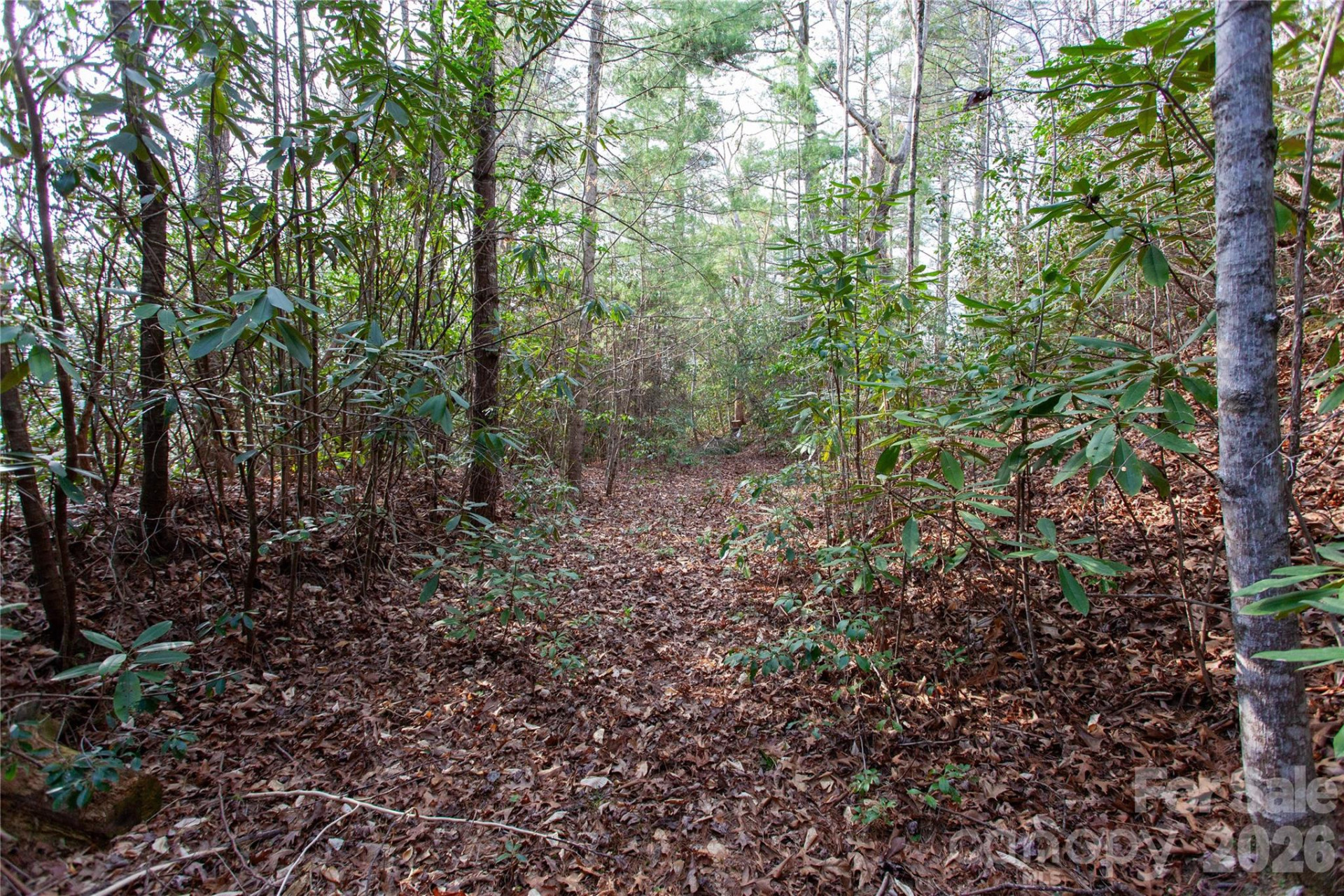 TBD Top of the Mountain Road - Photo 31