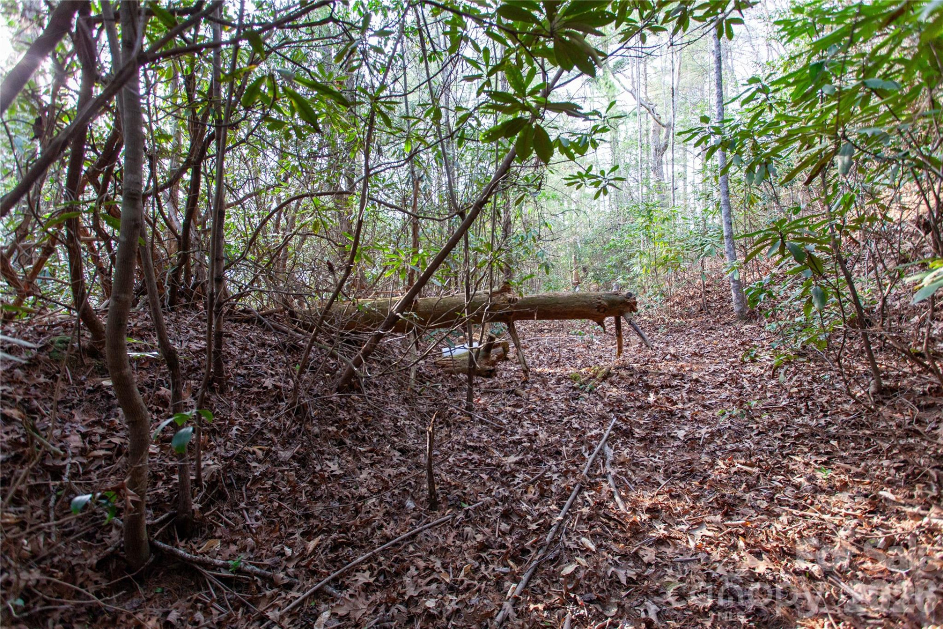 TBD Top of the Mountain Road - Photo 32