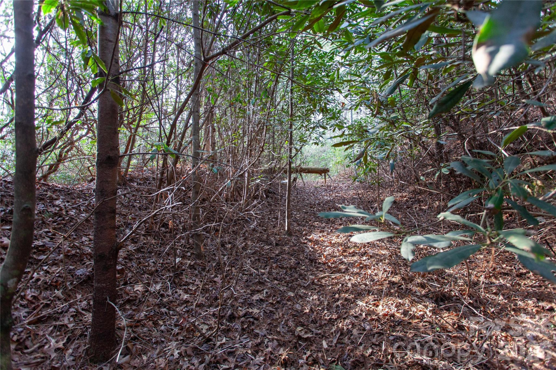 TBD Top of the Mountain Road - Photo 33