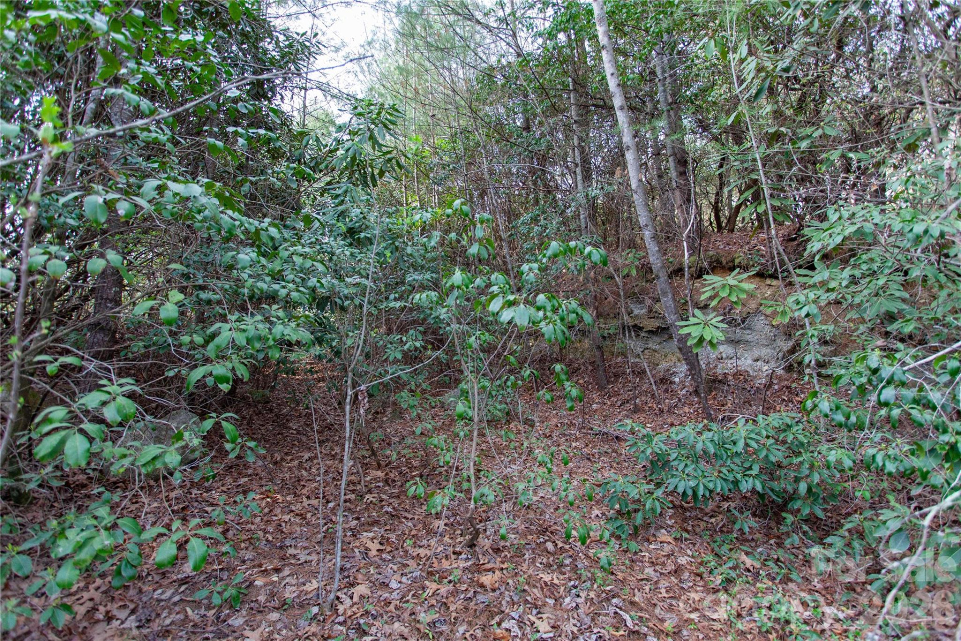 TBD Top of the Mountain Road - Photo 7