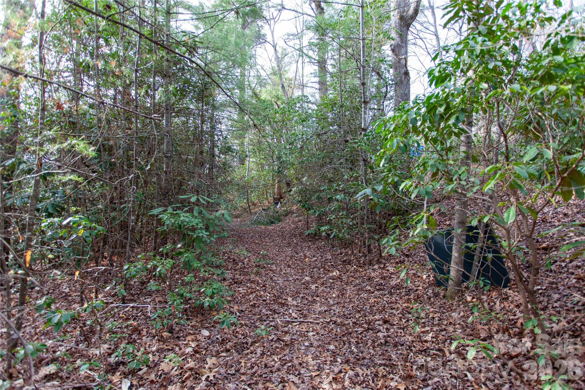 TBD Top of the Mountain Road - Photo 8