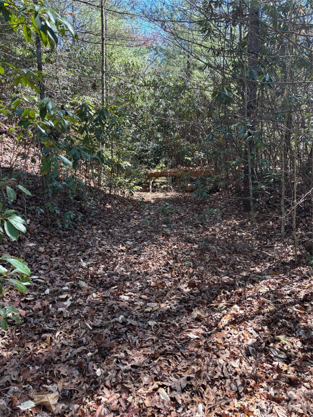 TBD Top of the Mountain Road - Photo 10