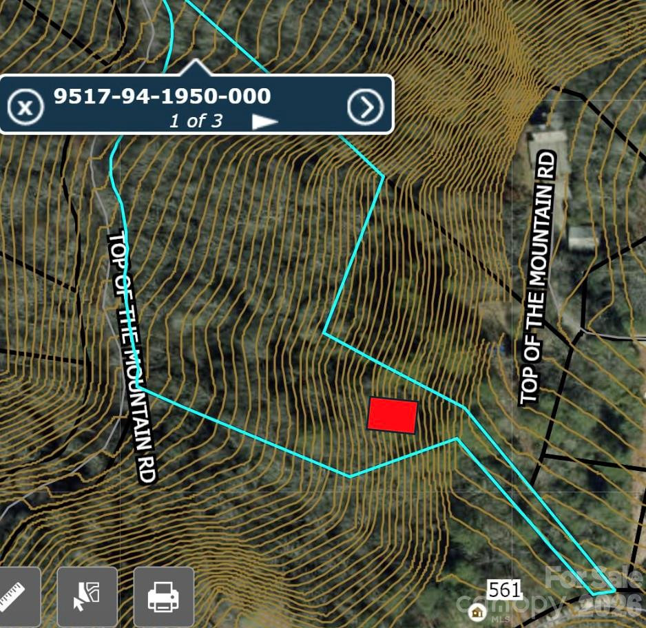 TBD Top of the Mountain Road - Photo 5