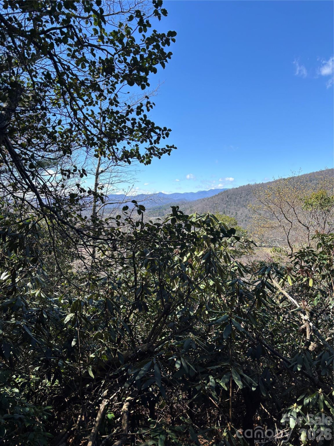 TBD Top of the Mountain Road - Photo 7