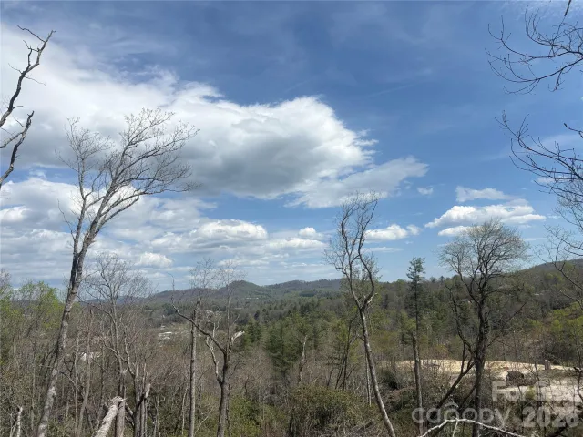 TBD Swiss Pine Lake Drive, Spruce Pine, NC, 28777