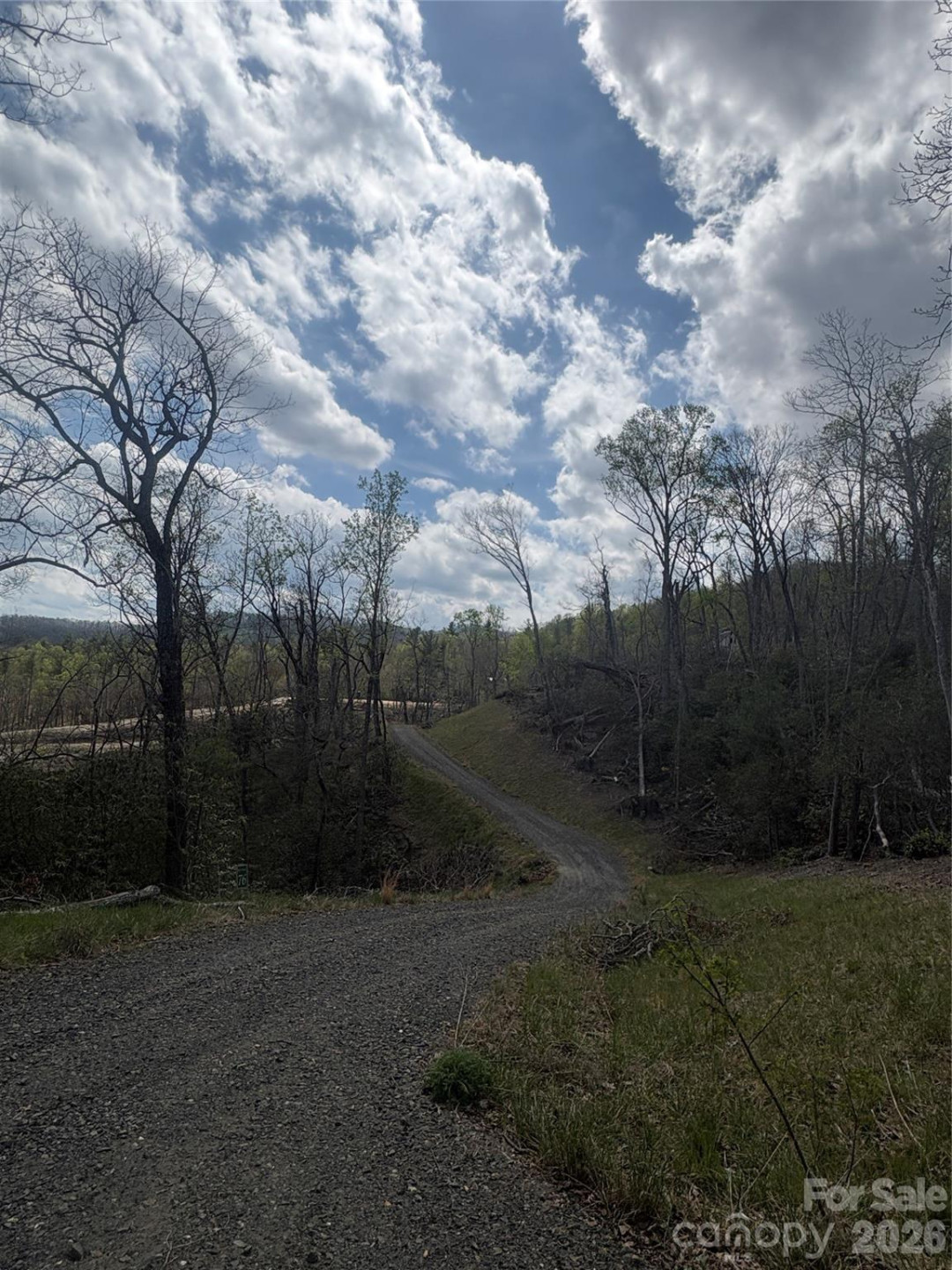 TBD Swiss Pine Lake Drive #117 - Photo 3