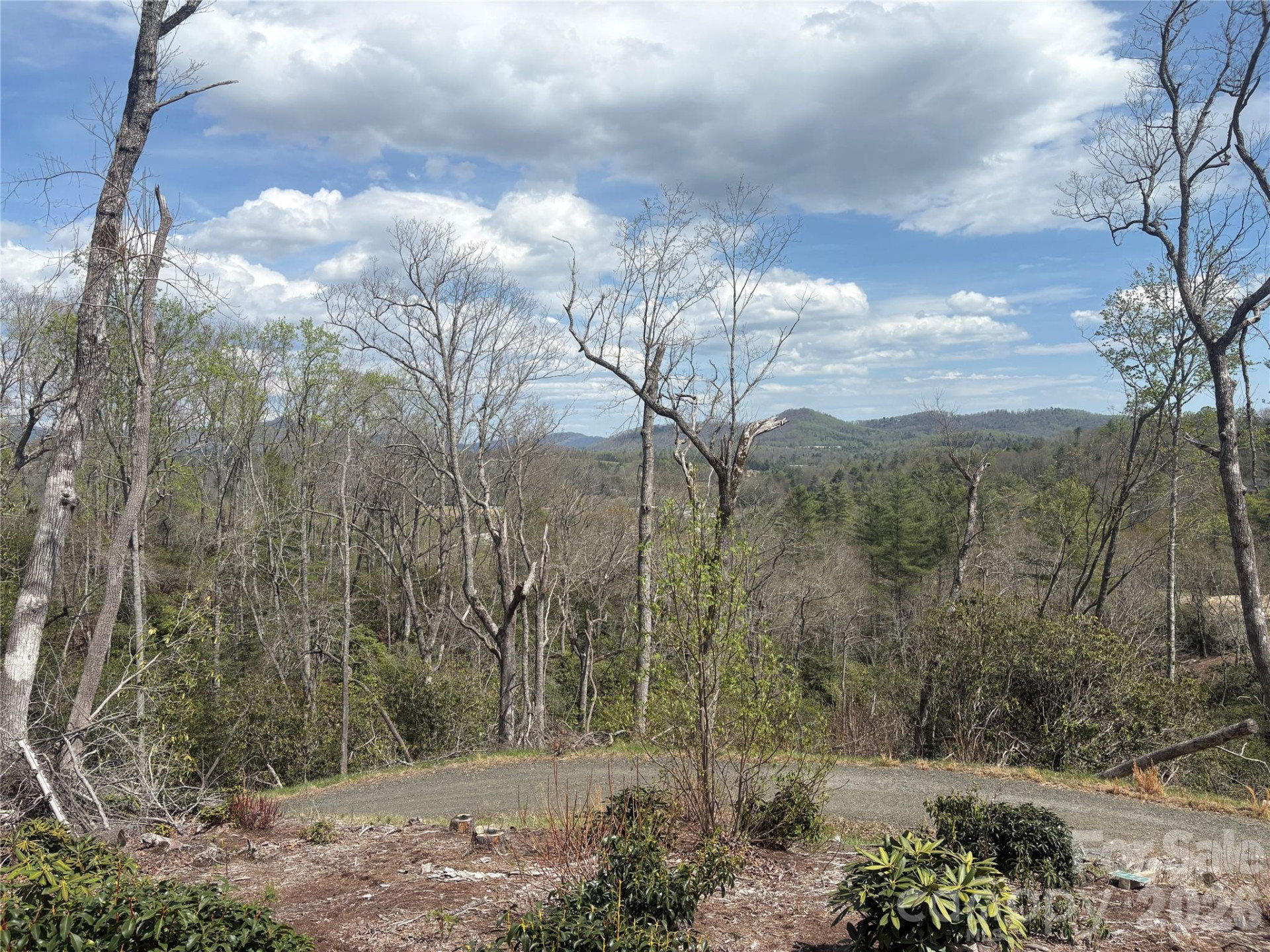 TBD Swiss Pine Lake Drive #117 - Photo 5