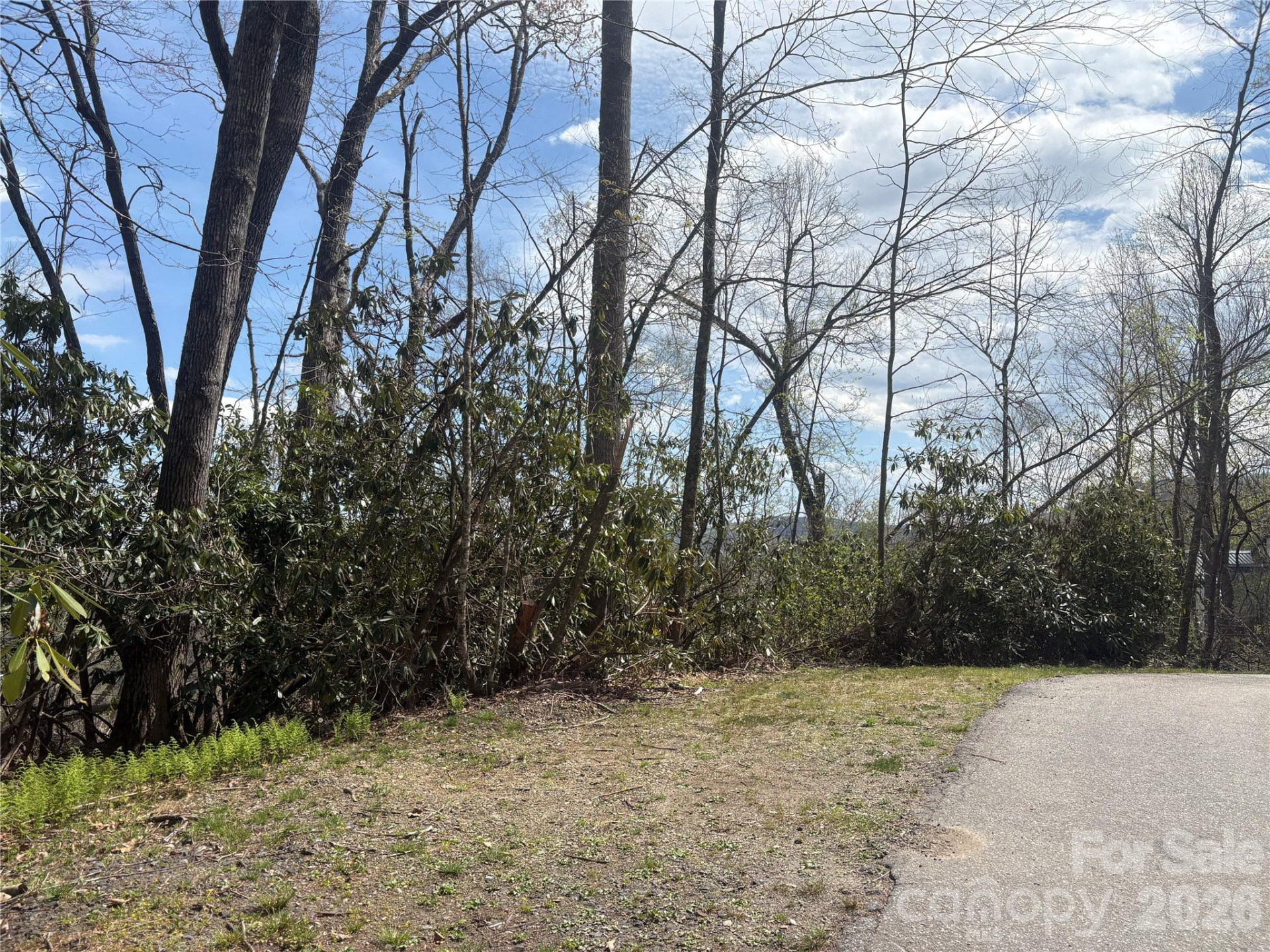 TBD Swiss Pine Lake Drive #117 - Photo 8