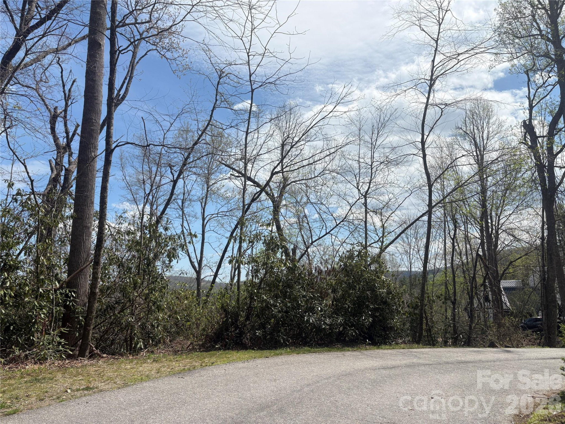 TBD Swiss Pine Lake Drive #117 - Photo 9